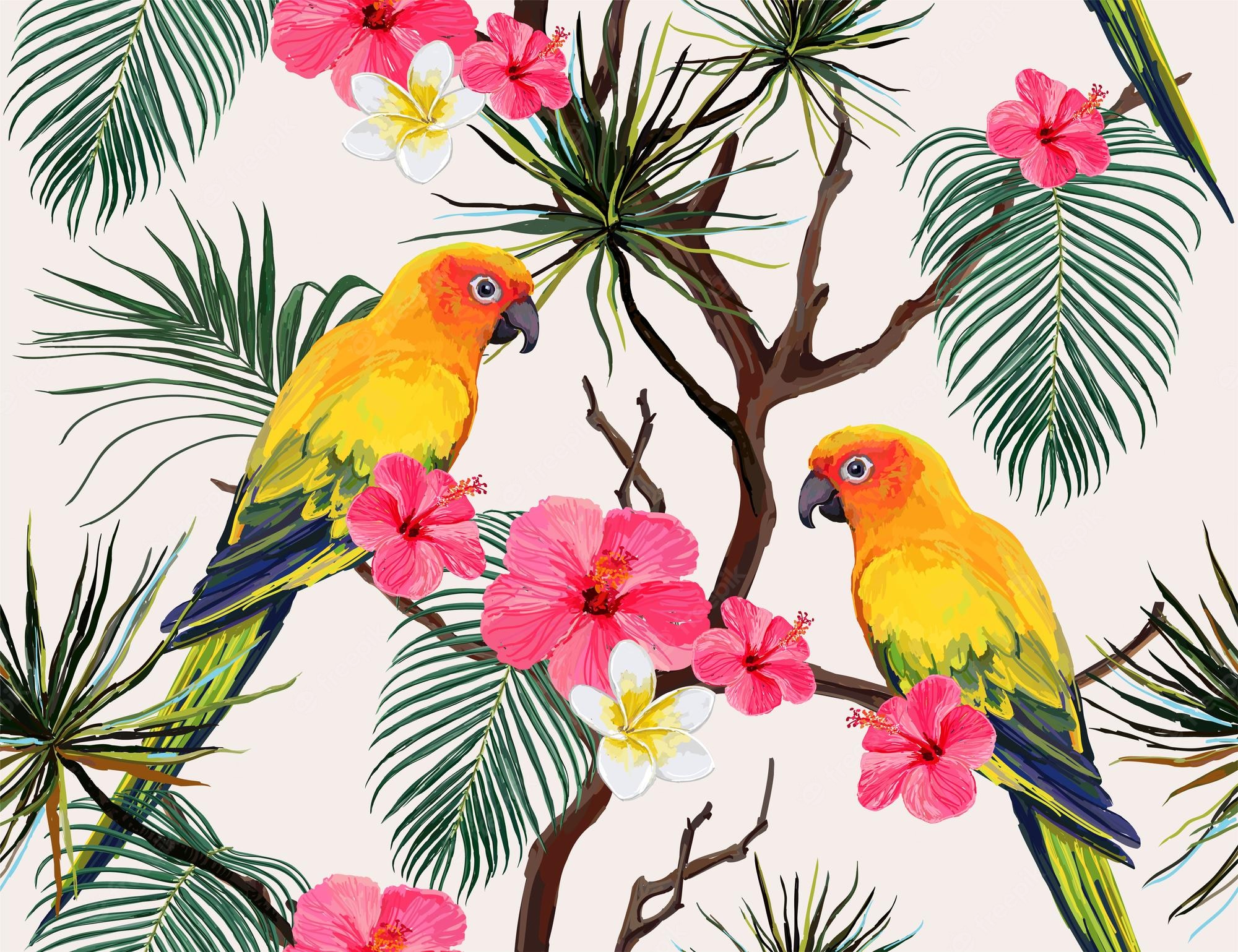 Parrot Wallpapers