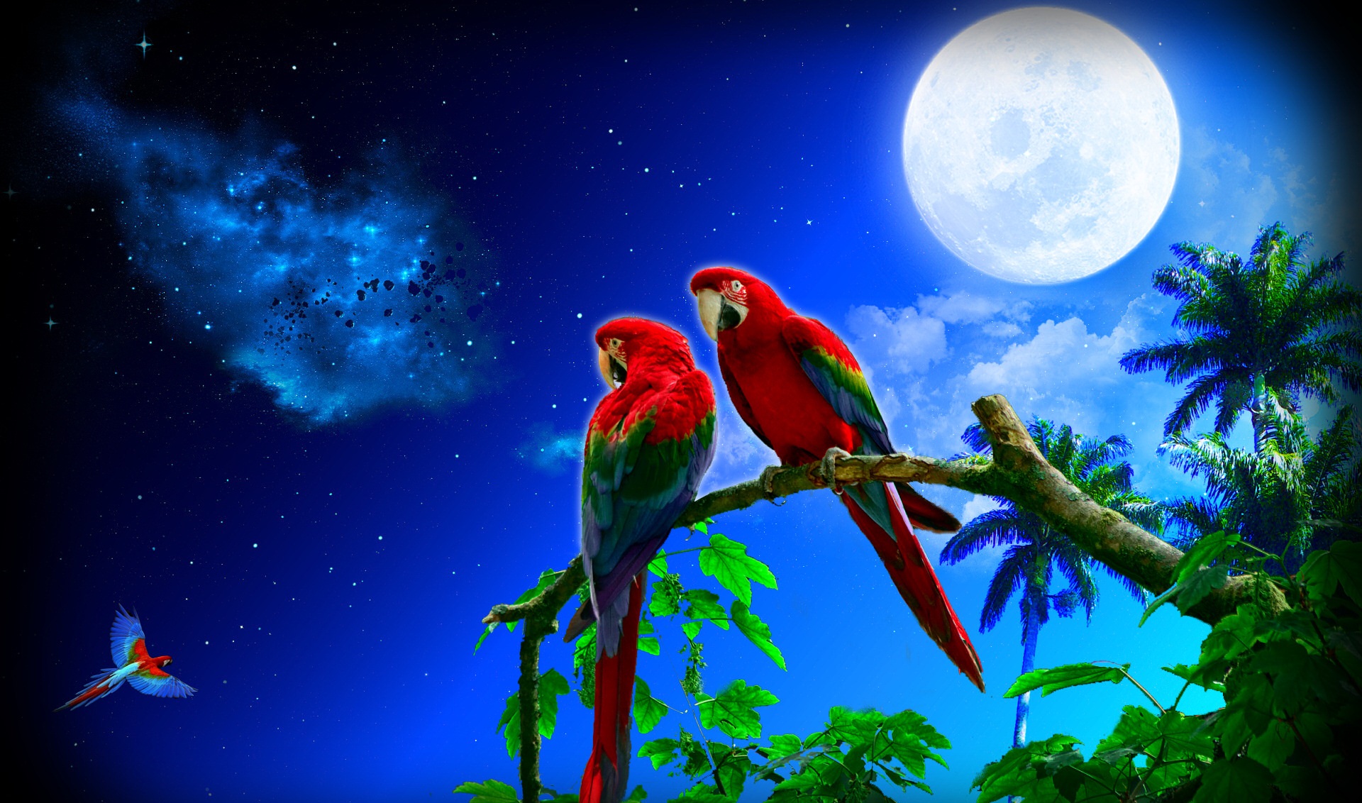 Parrot Wallpapers