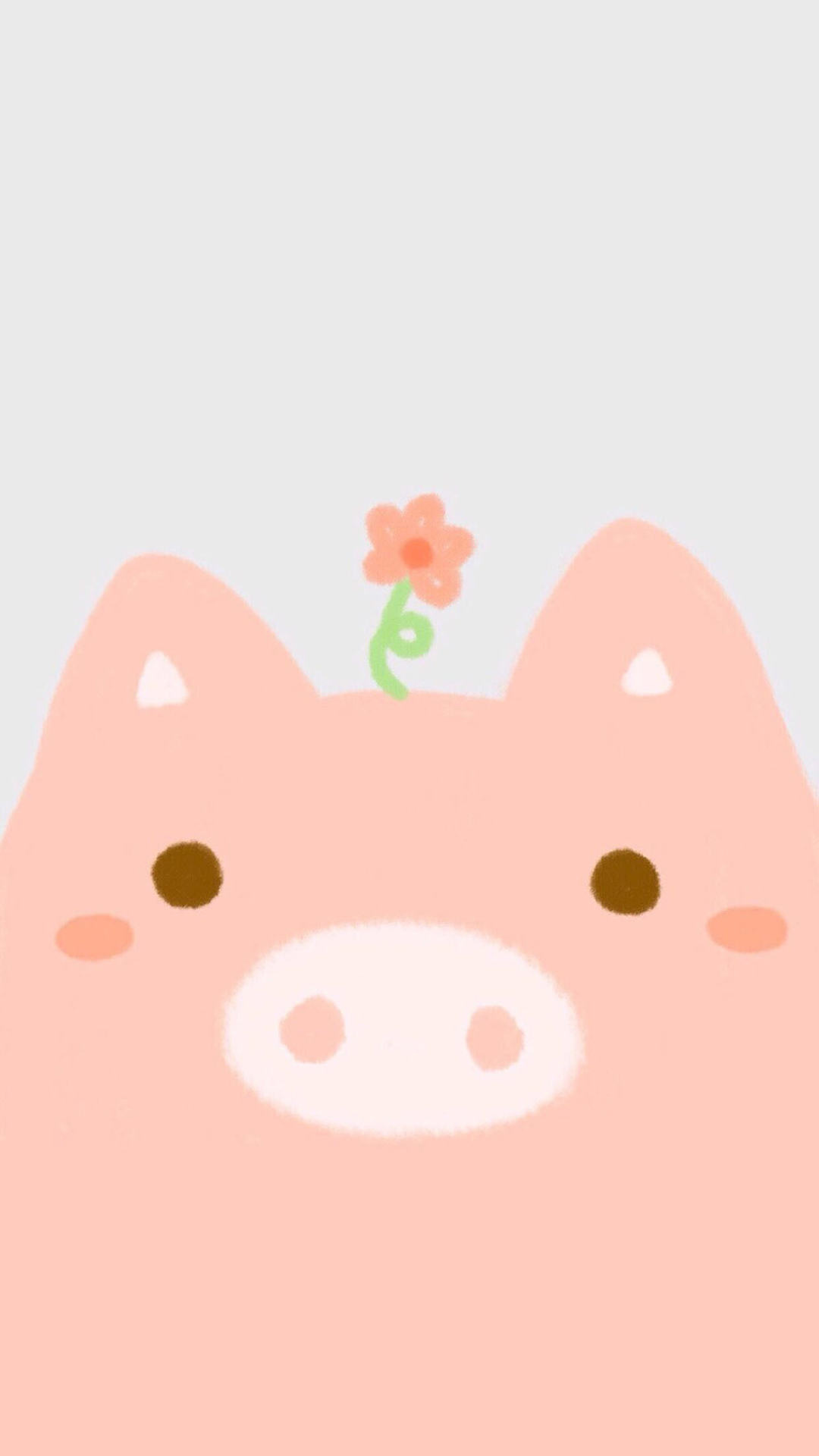 Pig Wallpapers