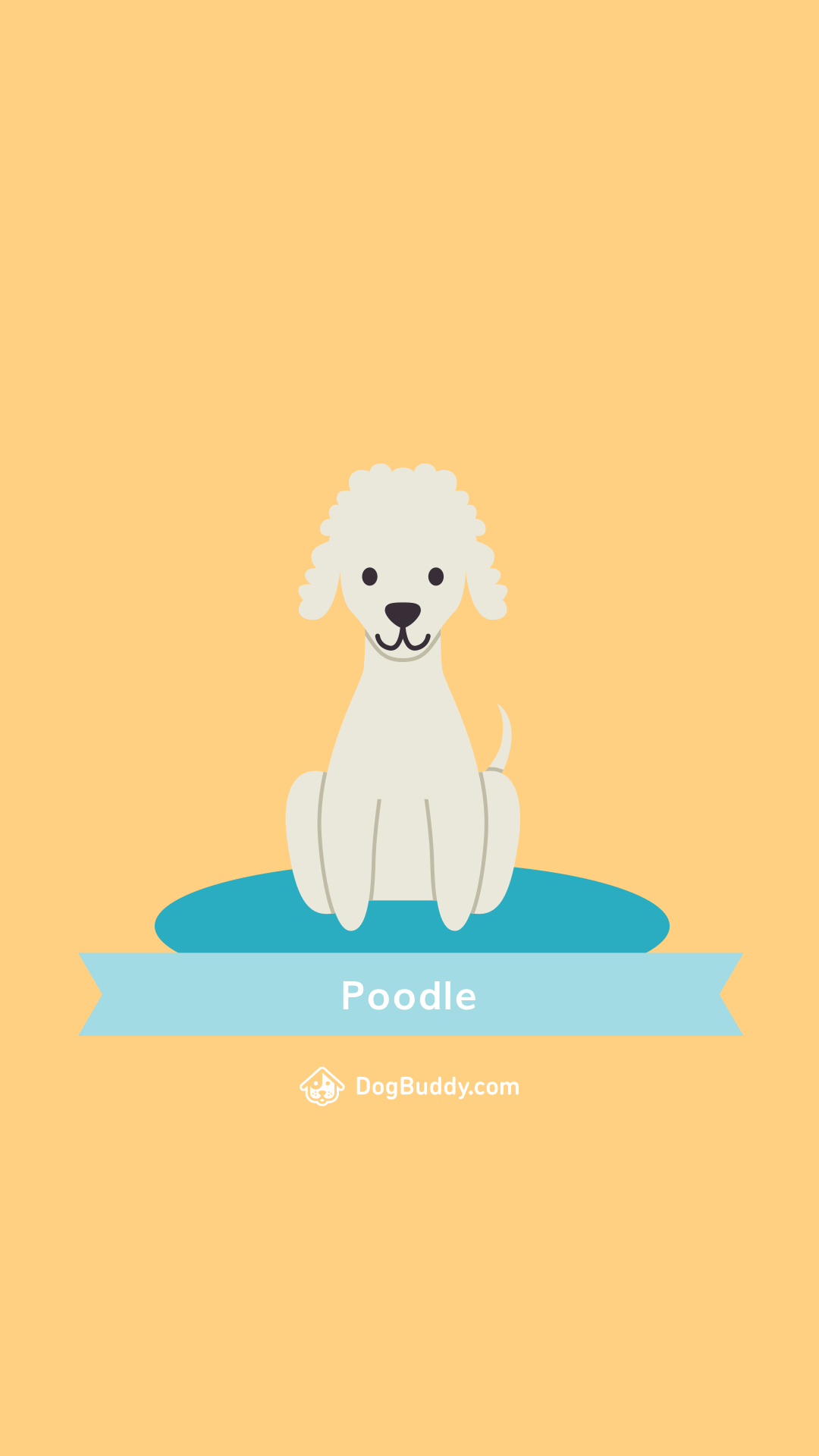 Poodle Wallpapers