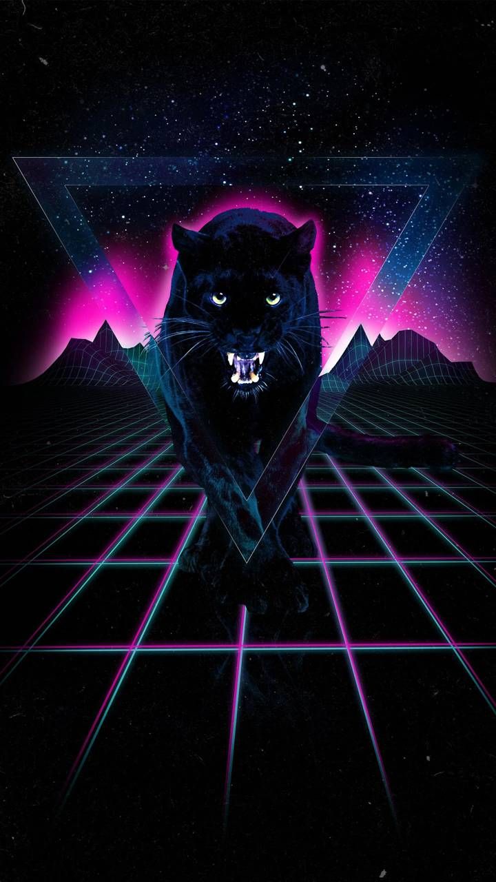 Puma Animal Wallpapers