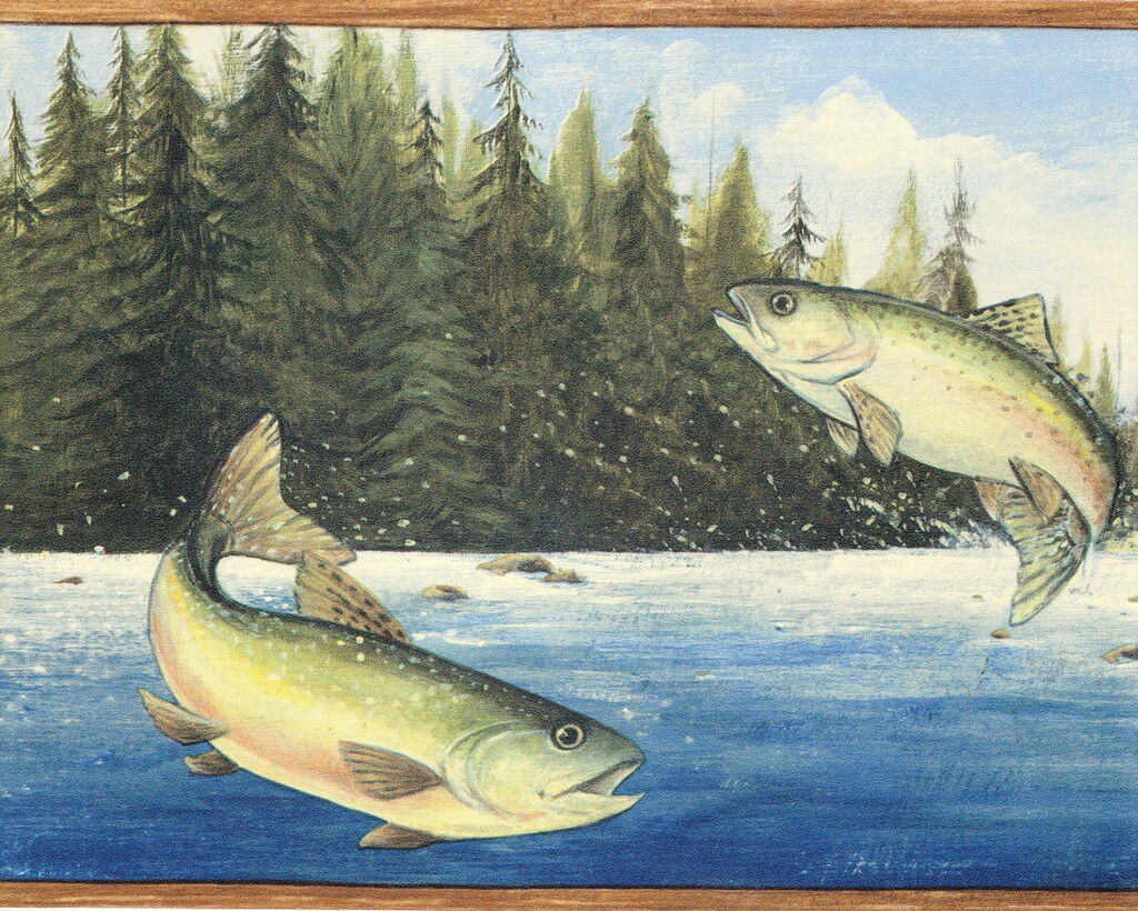 Rainbow Trout Wallpapers