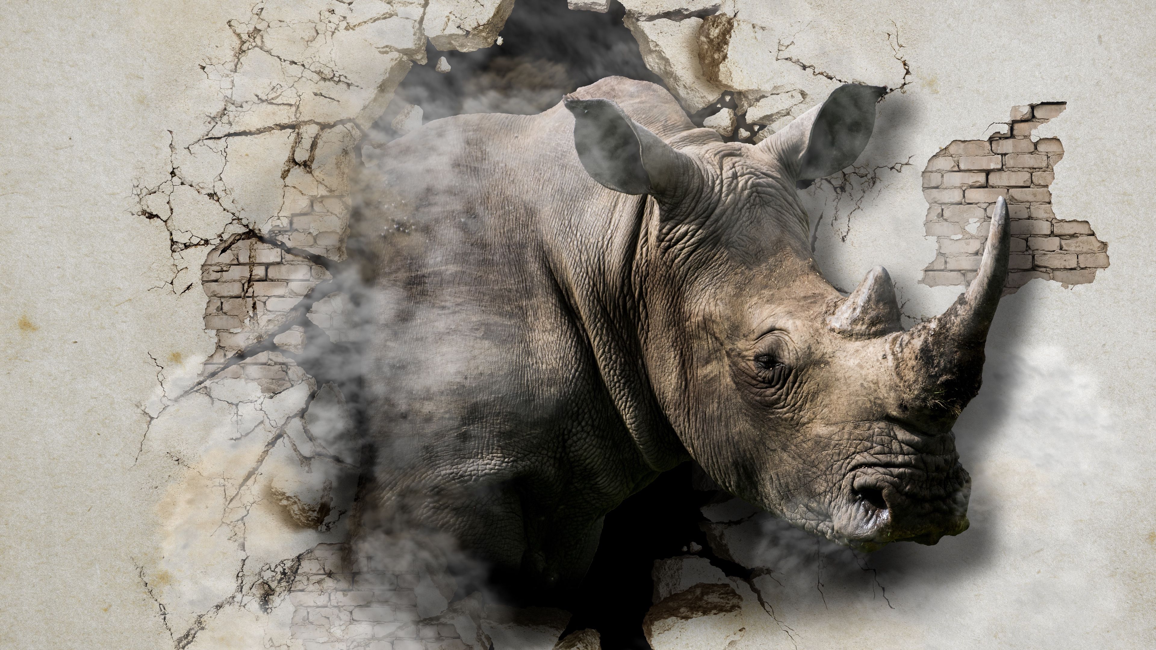 Rhinoceros Wallpapers