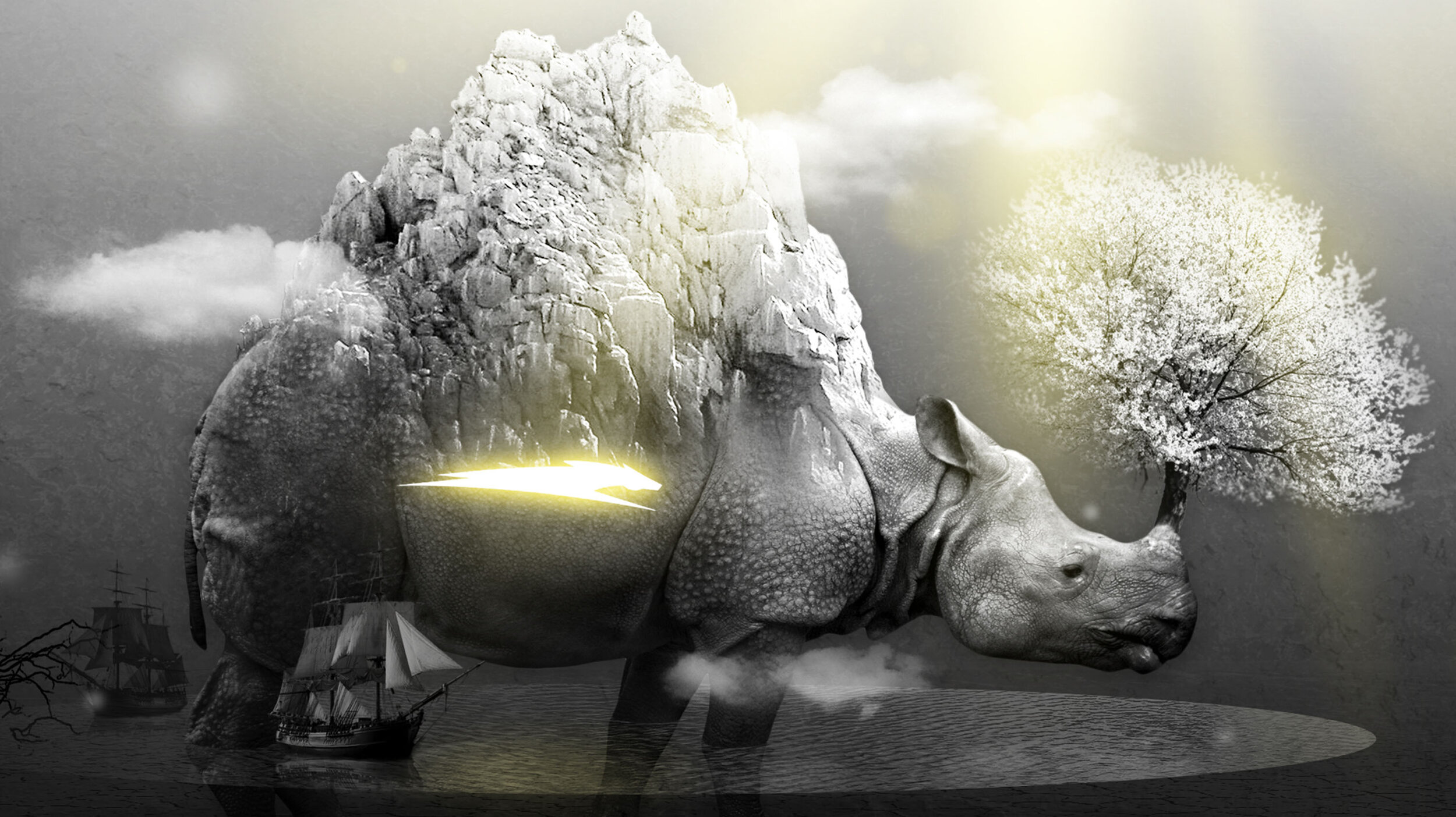 Rhinoceros Wallpapers