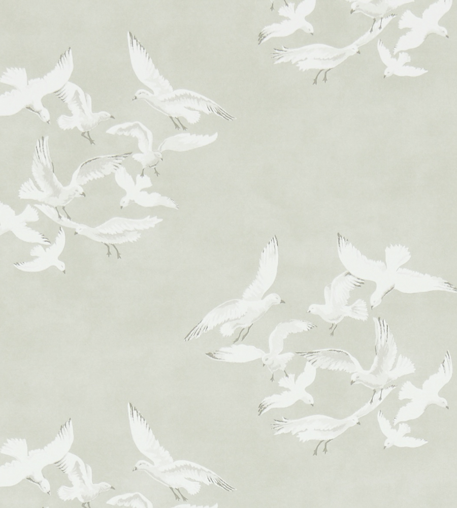 Seagull Wallpapers