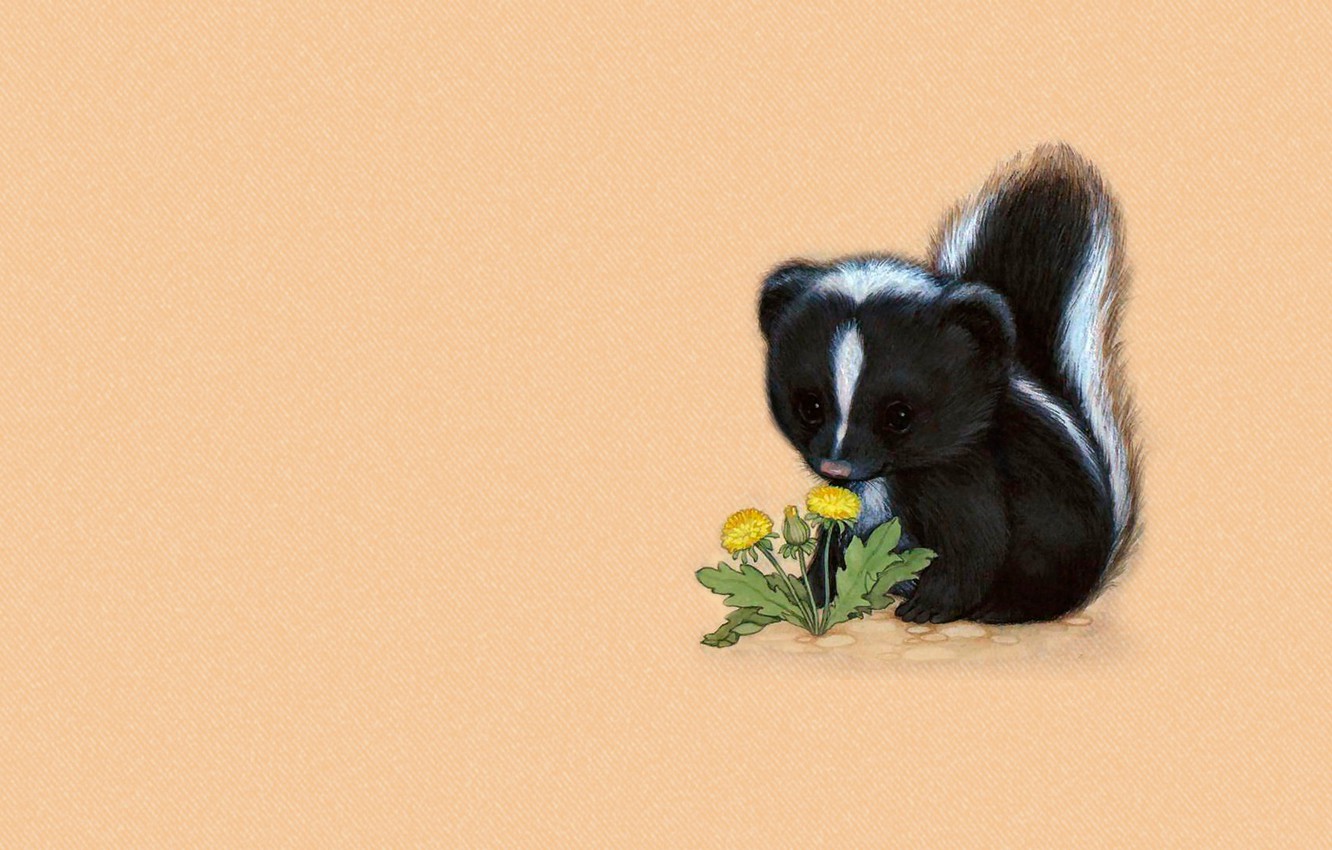 Skunks Wallpapers