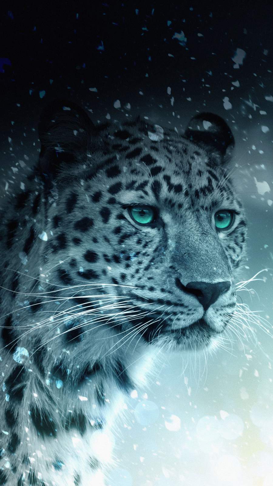 Snow Leopard Wallpapers