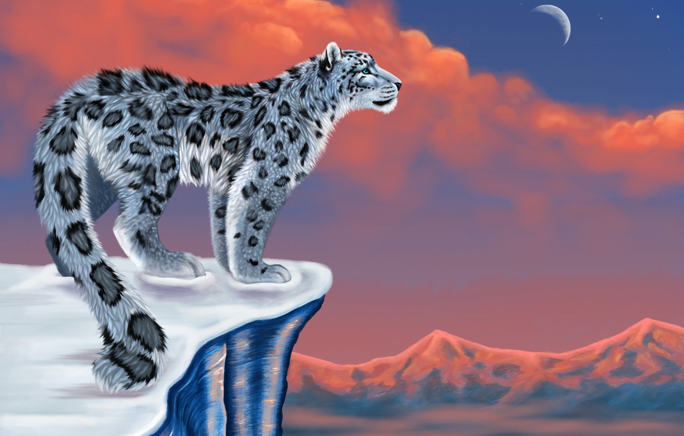 Snow Leopard Wallpapers