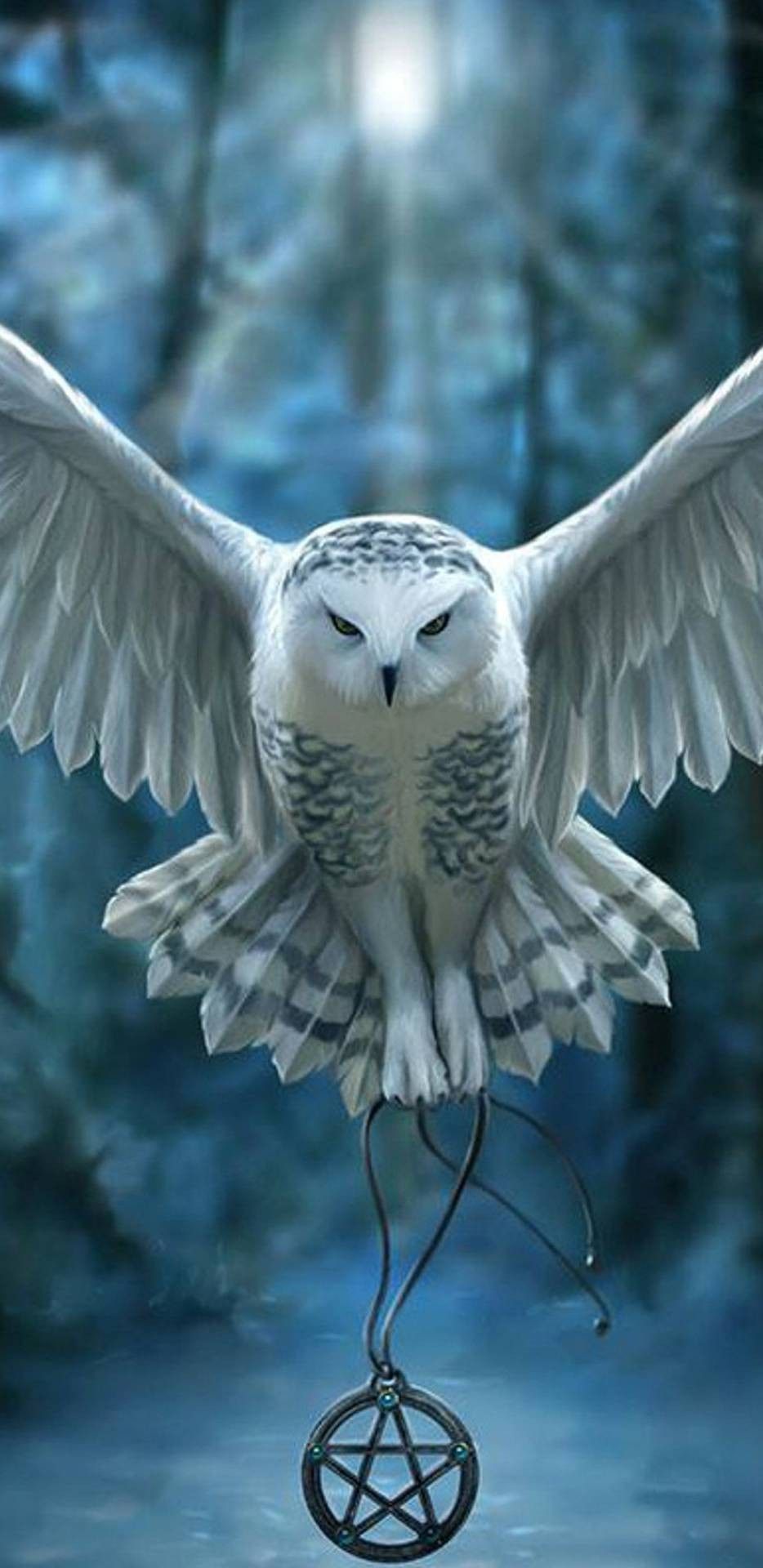 Snowy Owl Wallpapers