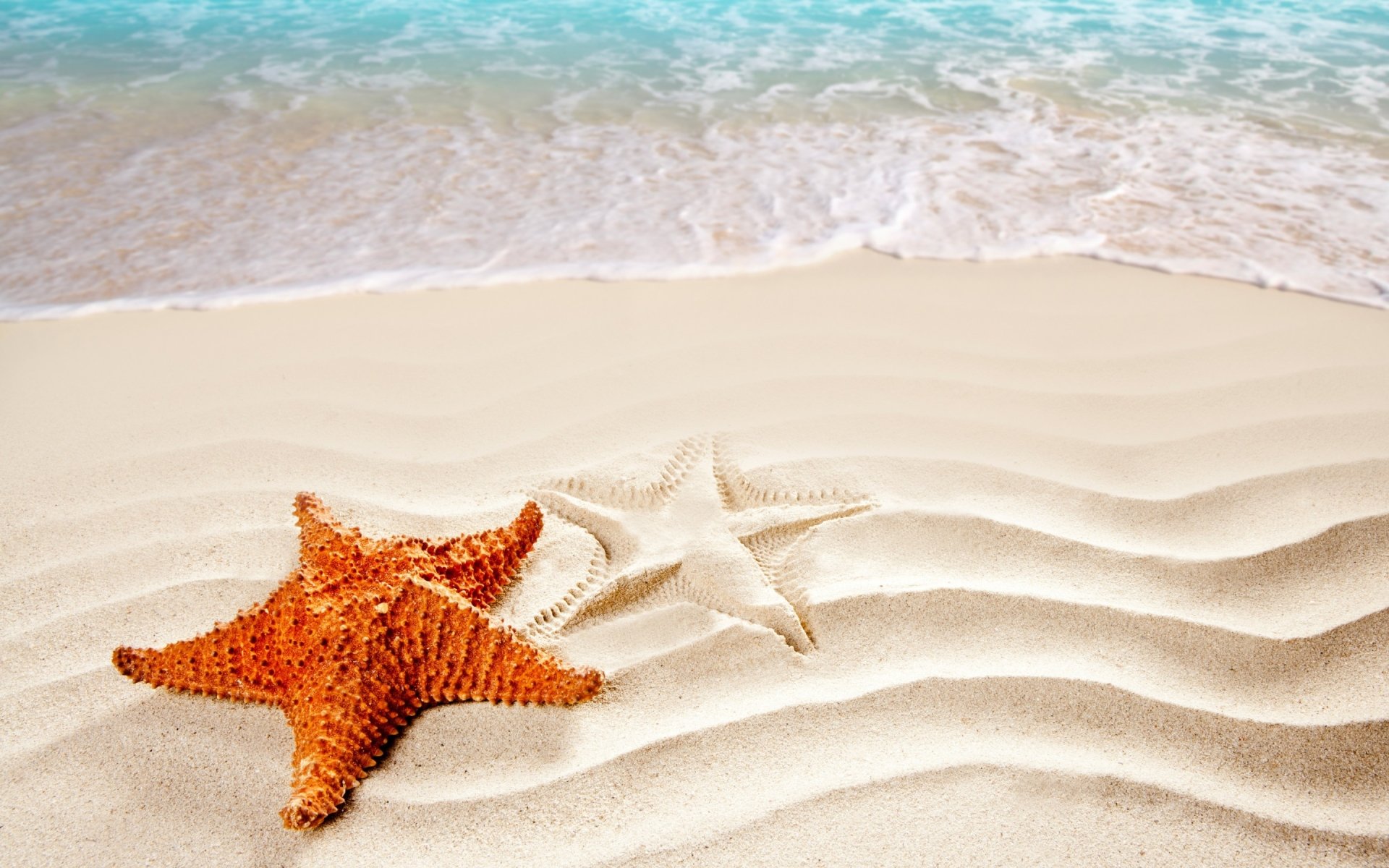 Starfish Wallpapers