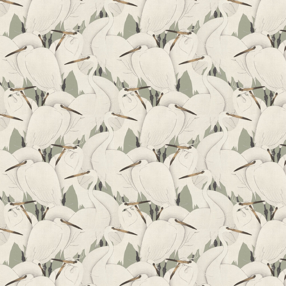 Stork Wallpapers