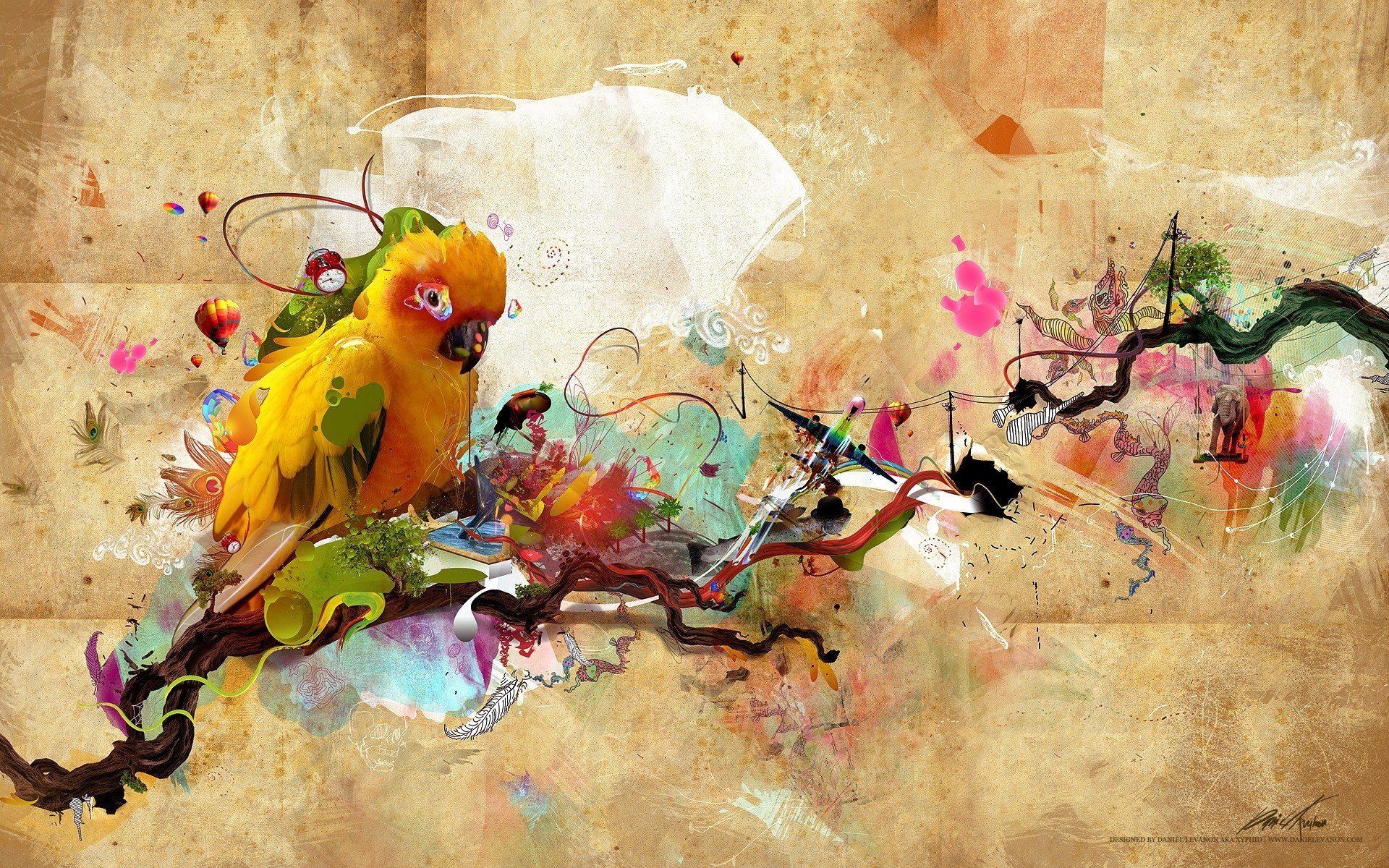 Sun Parakeet Wallpapers