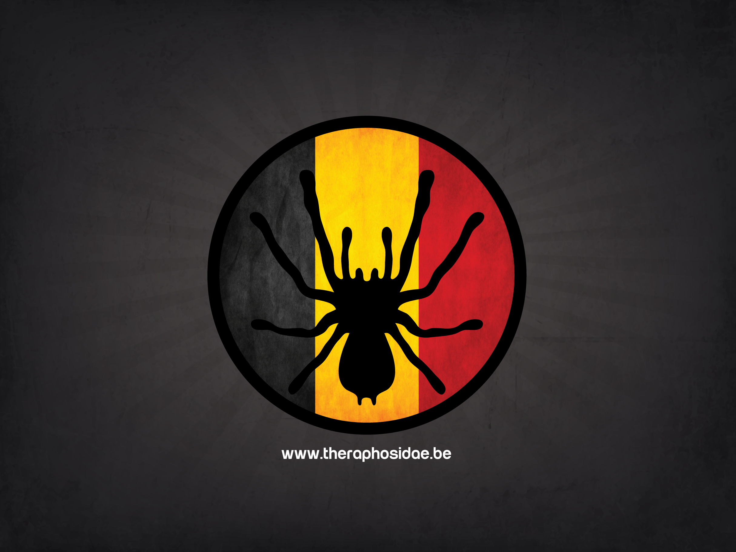 Tarantula Wallpapers