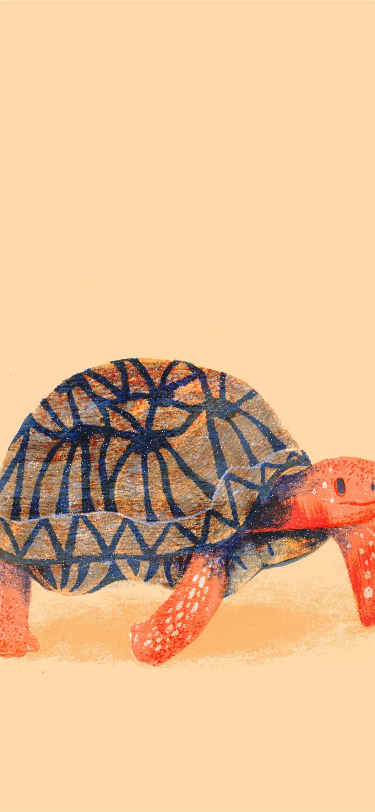 Tortoise Wallpapers