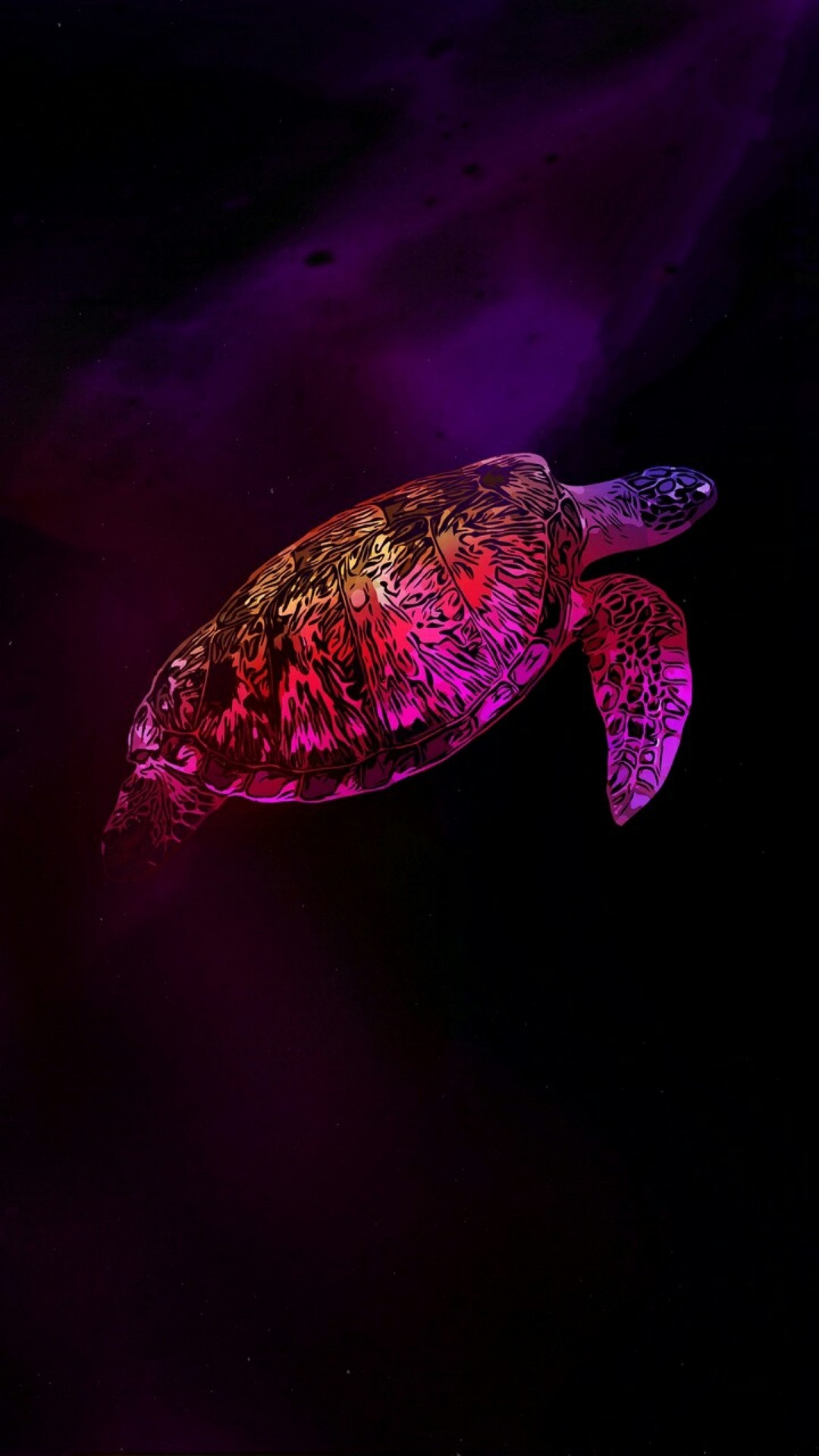 Turtle Wallpapers