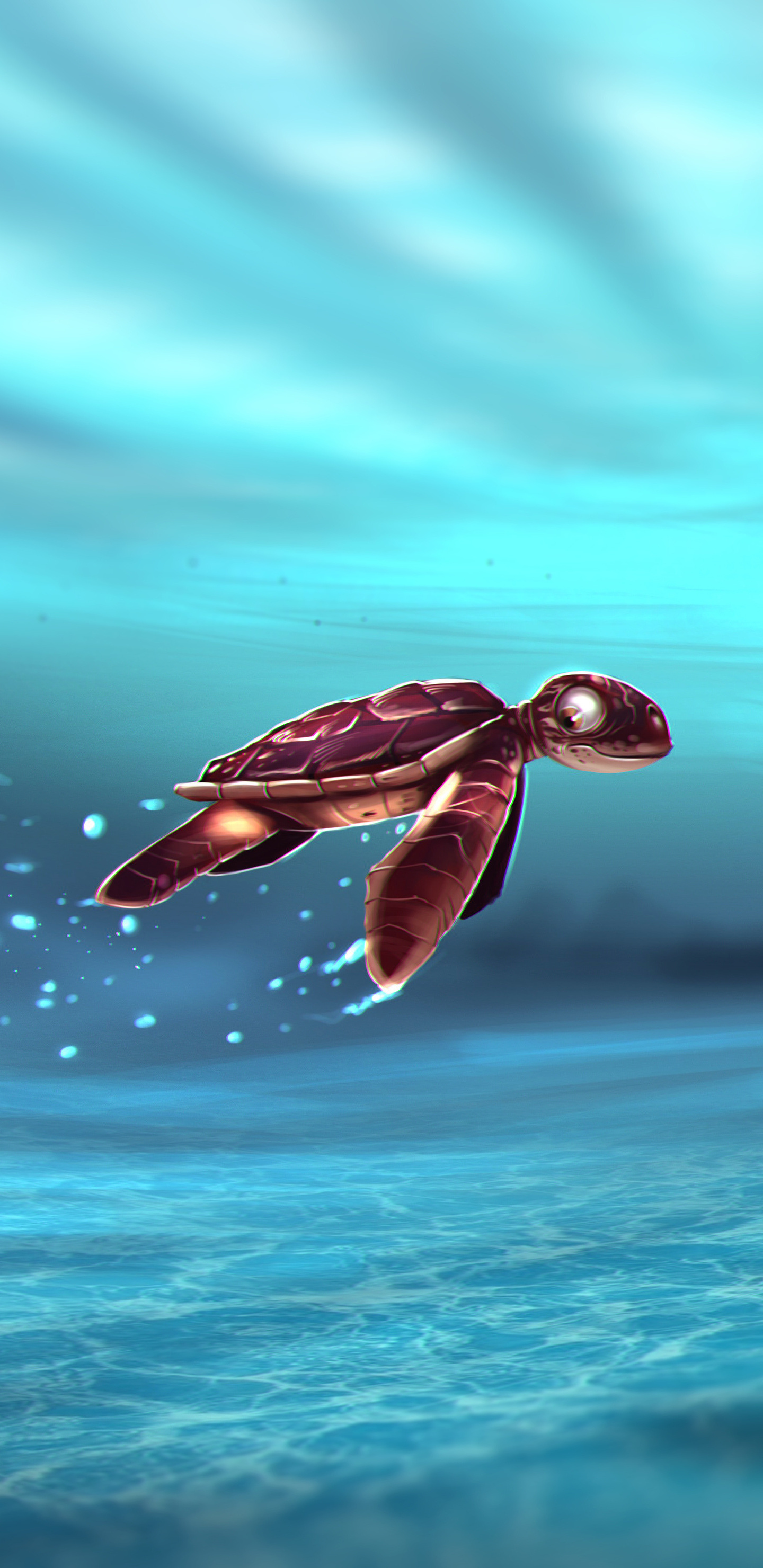 Turtle Wallpapers