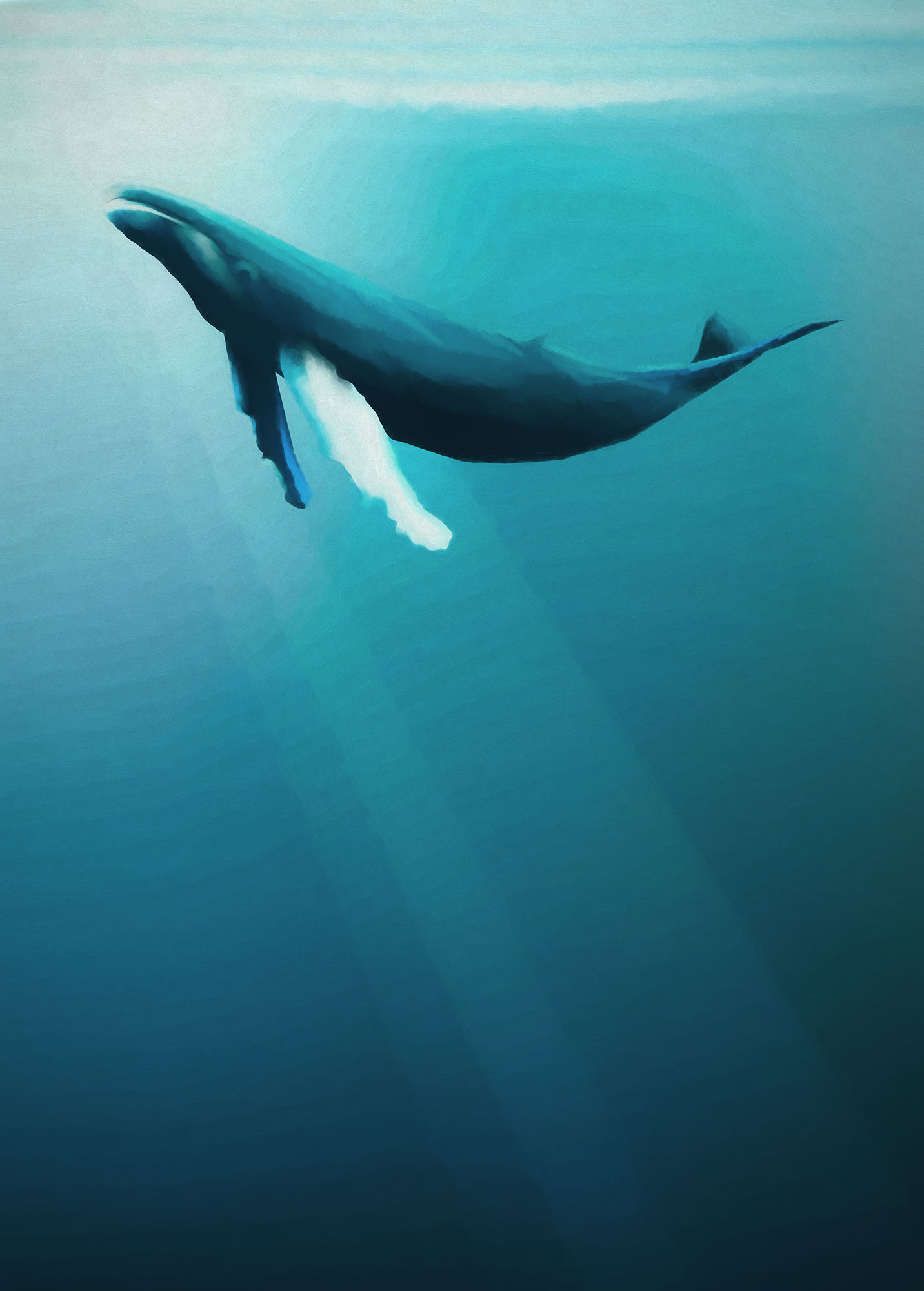 Whale Wallpapers
