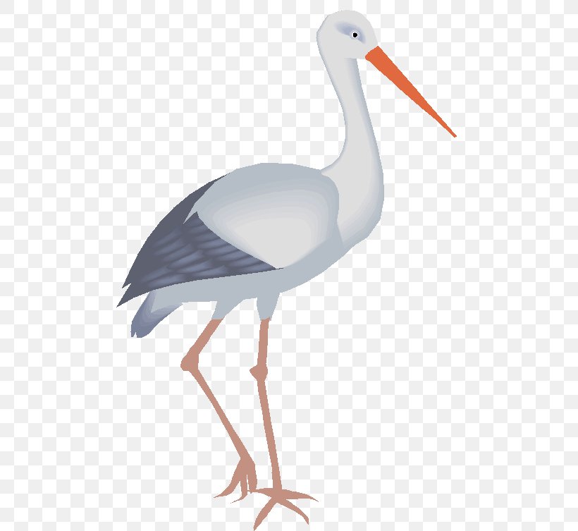 White Stork Wallpapers