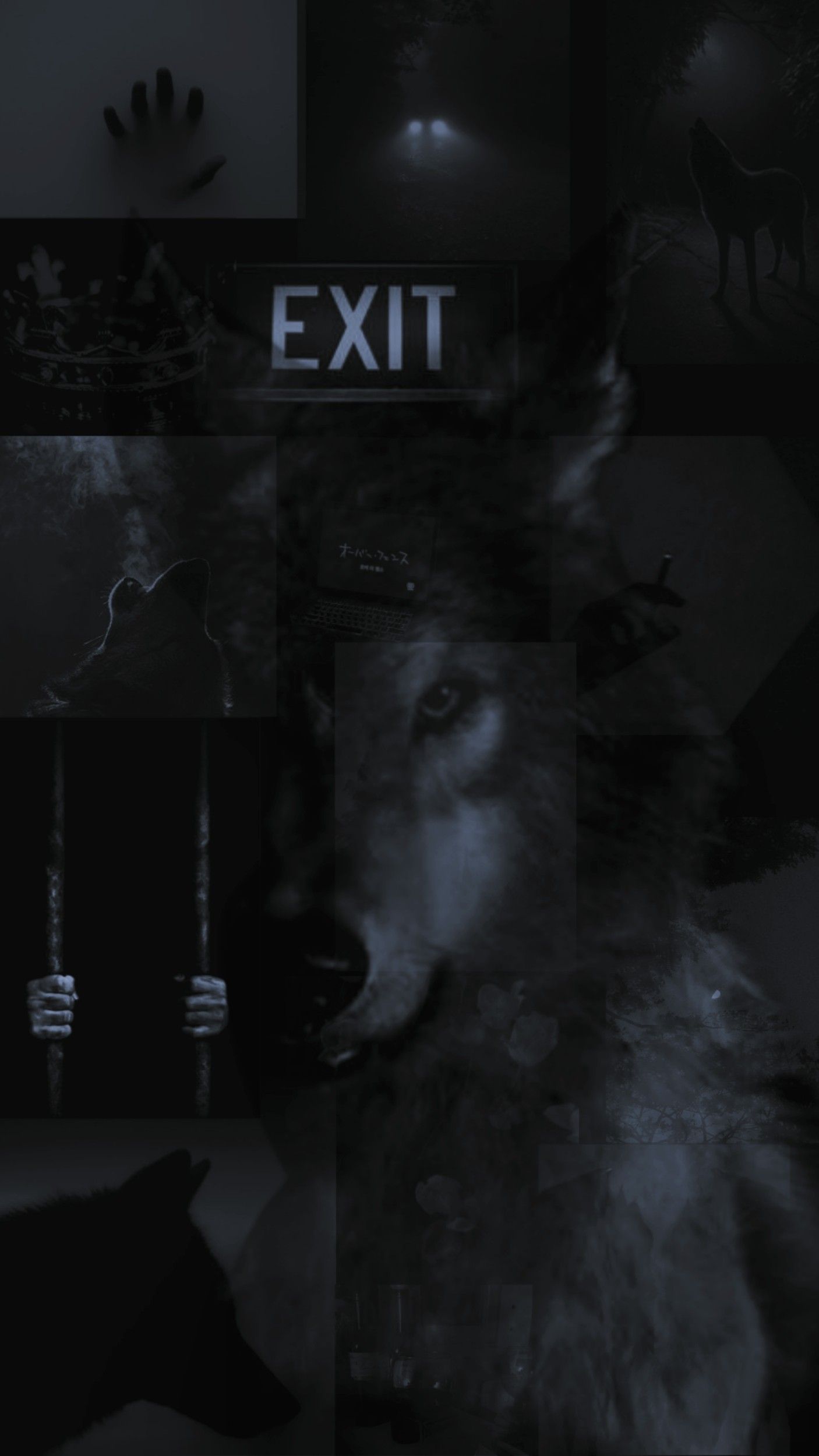 Wolf Aesthetic Wallpapers