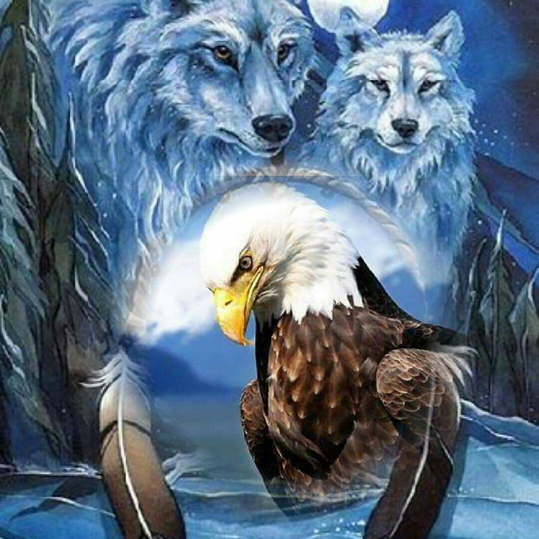 Wolf And Eagle Wallpapers
