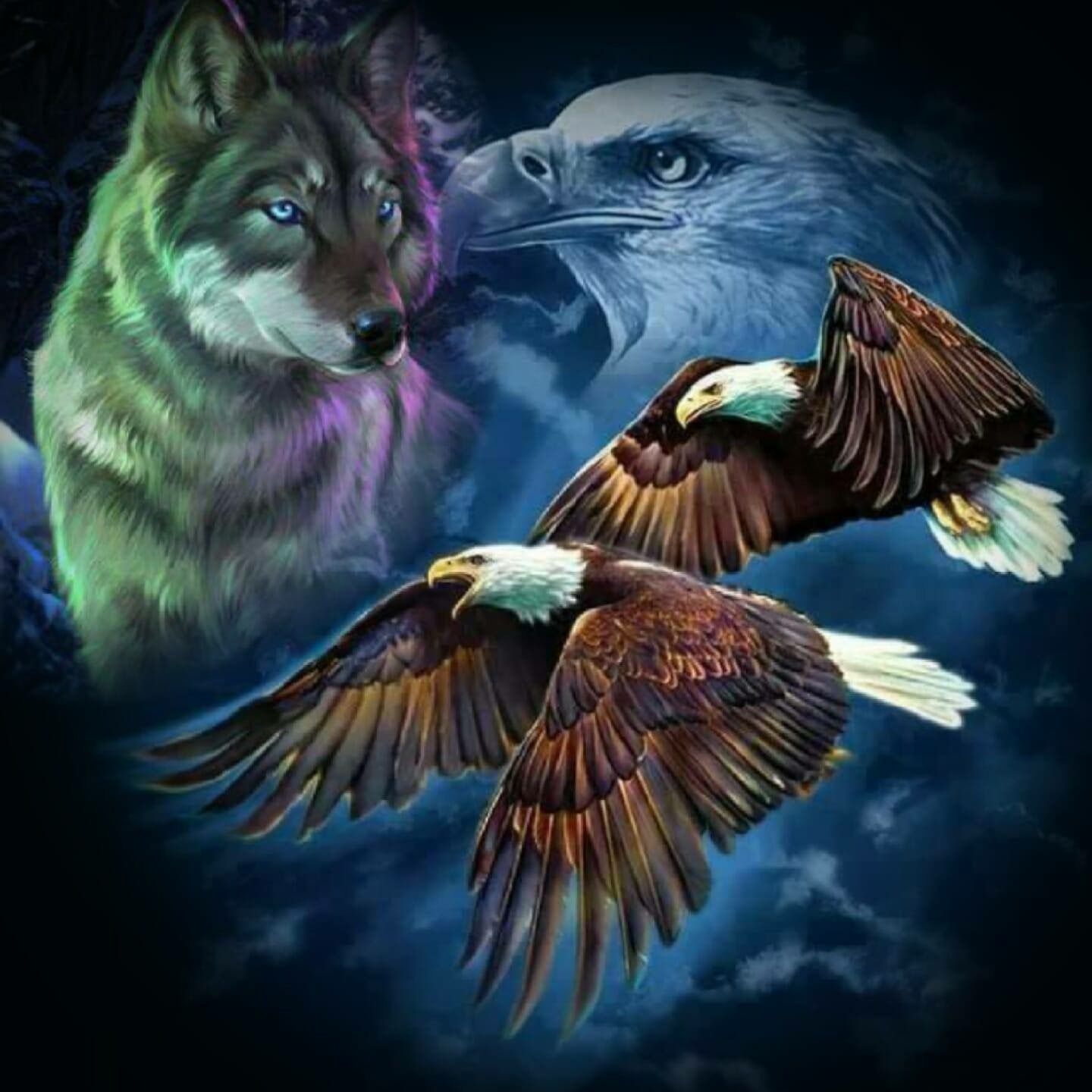 Wolf And Eagle Pictures Wallpapers