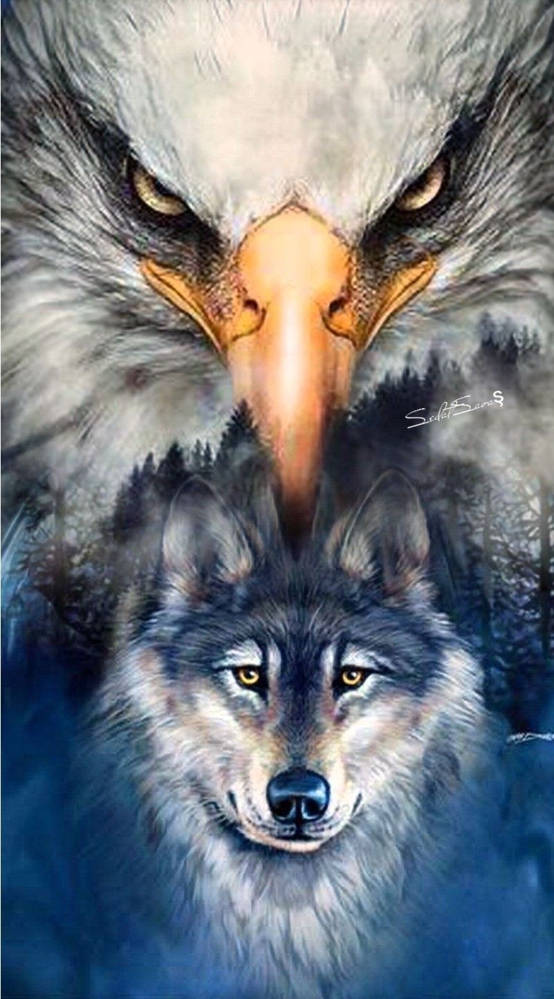 Wolf And Eagle Pictures Wallpapers