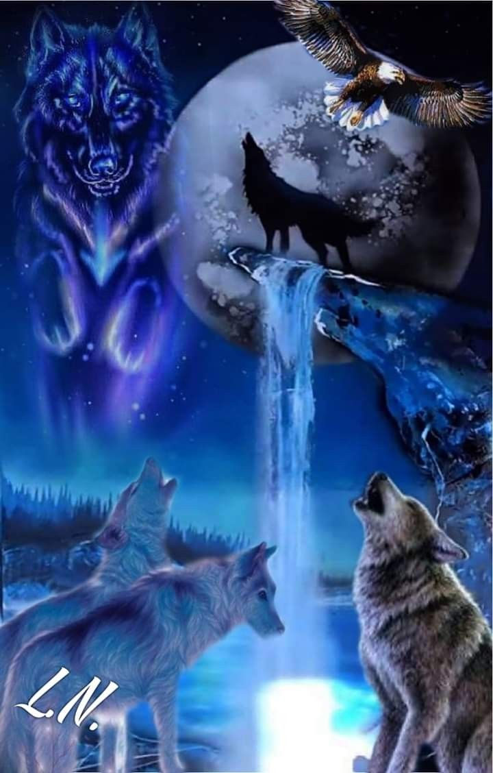 Wolf And Eagle Pictures Wallpapers