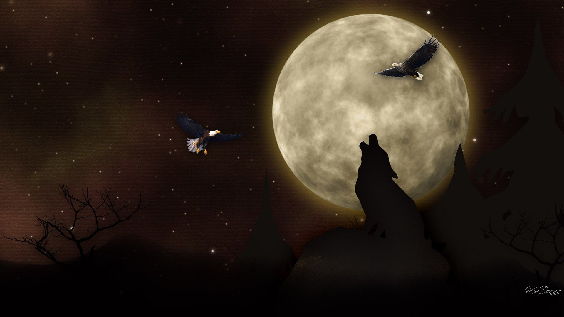 Wolf And Eagle Pictures Wallpapers