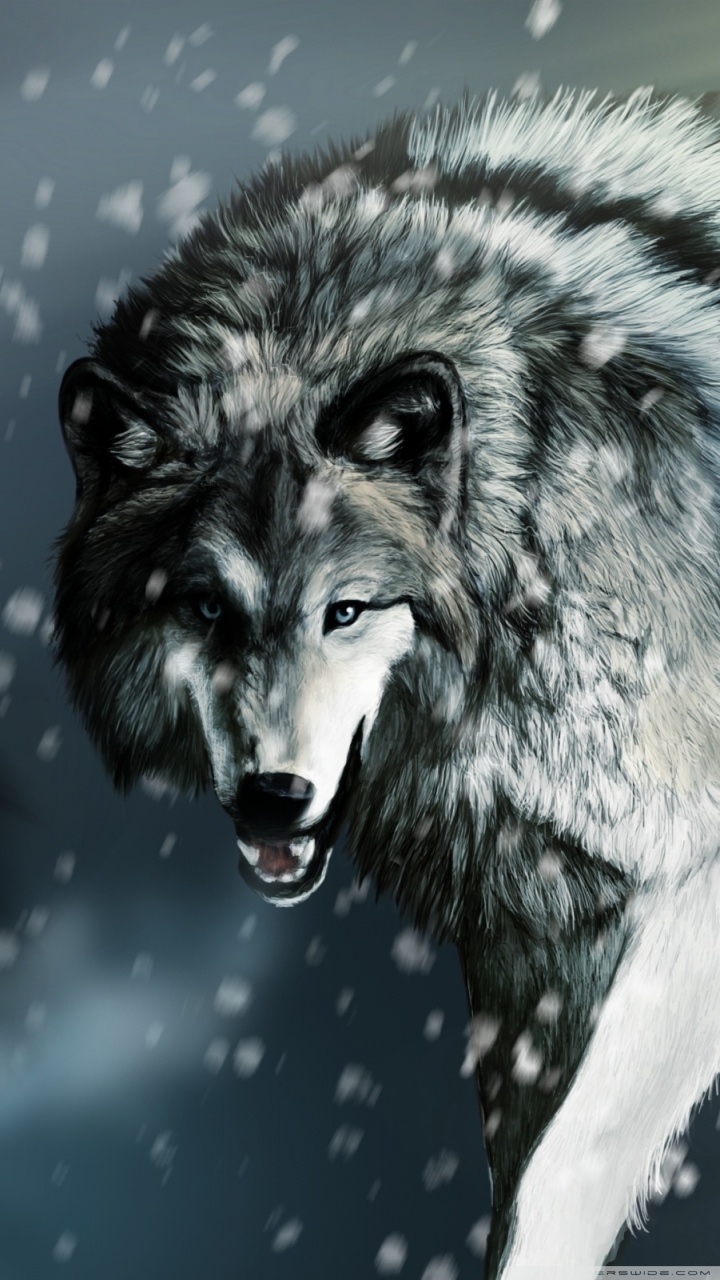 Wolf Android Wallpapers