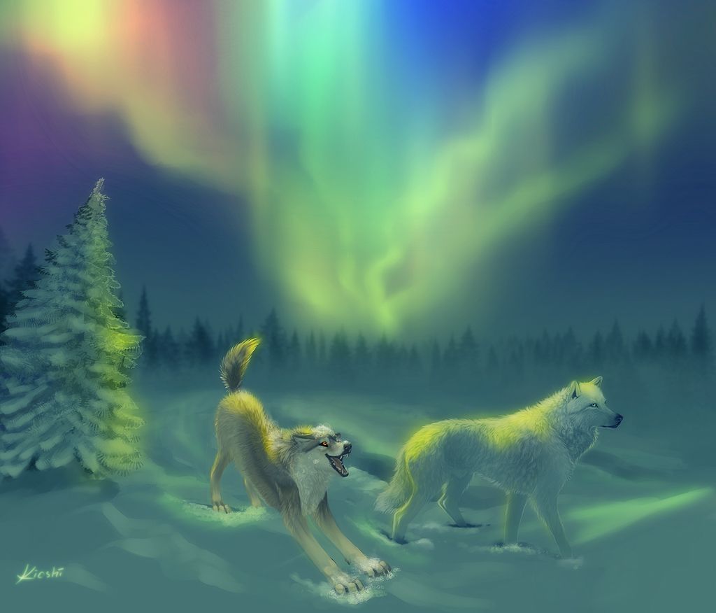 Wolf Aurora Borealis Wallpapers