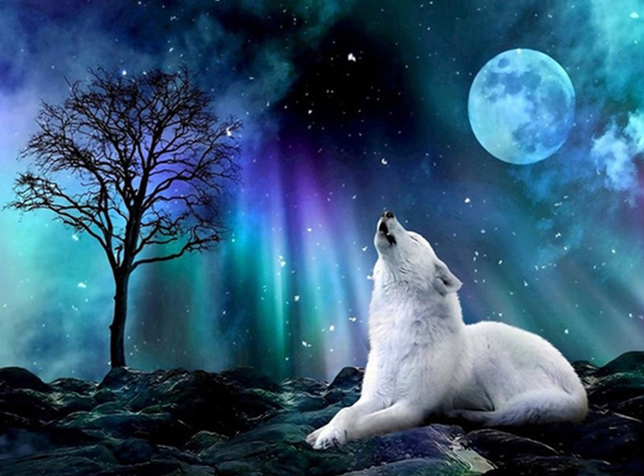 Wolf Aurora Borealis Wallpapers