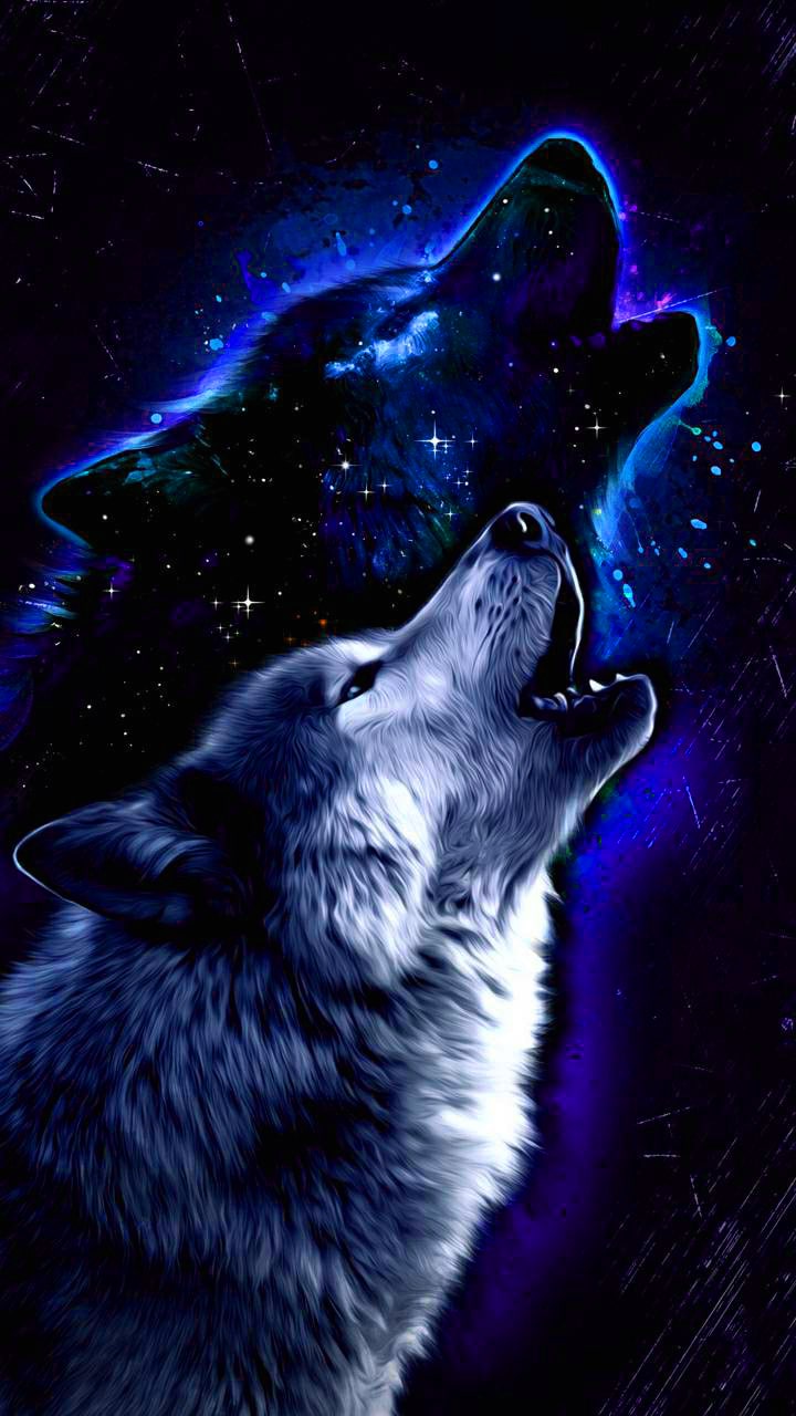 Wolf Cool Wallpapers