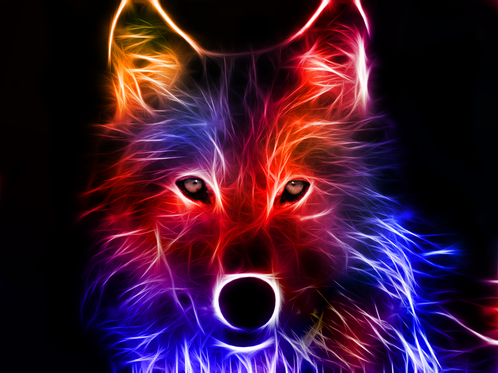 Wolf Cool Wallpapers