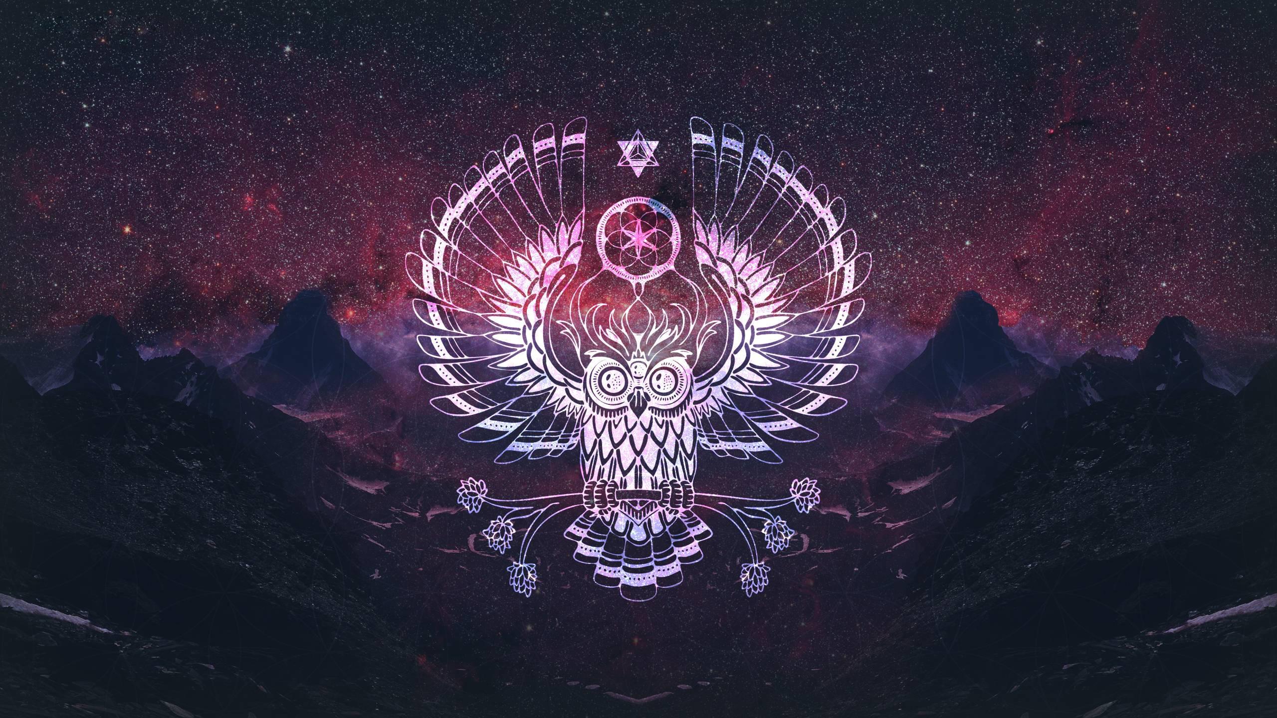 Wolf Dreamcatcher Wallpapers