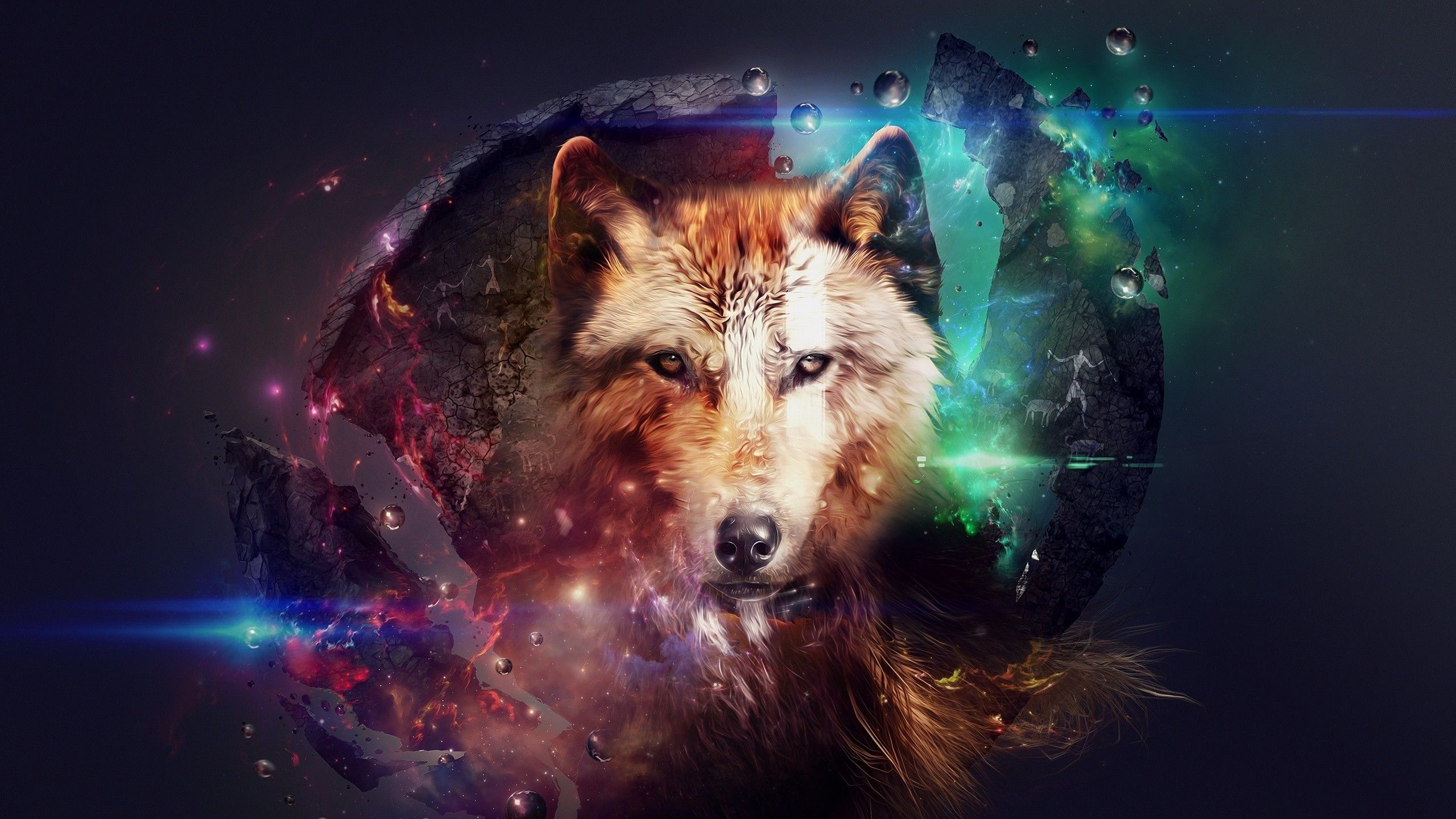 Wolf Hipster Wallpapers