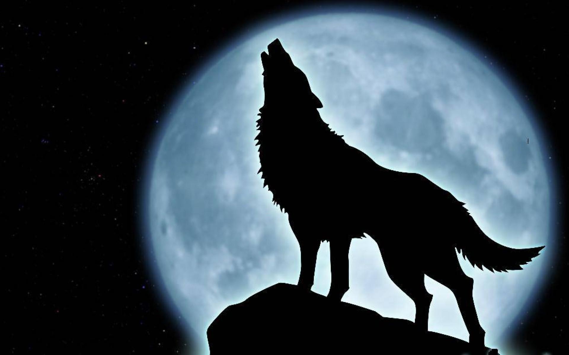 Wolf Howling Wallpapers