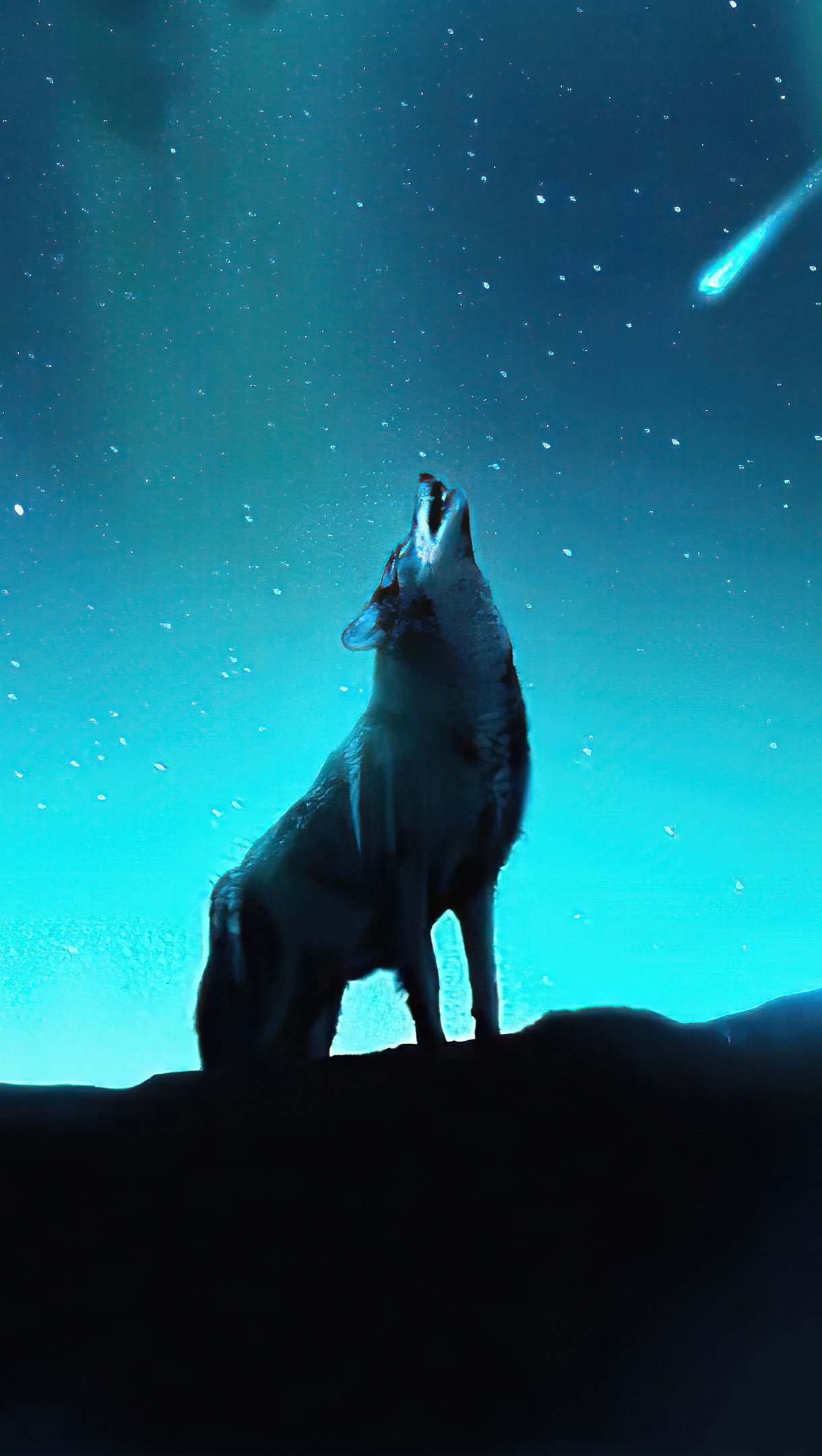 Wolf Howling Wallpapers