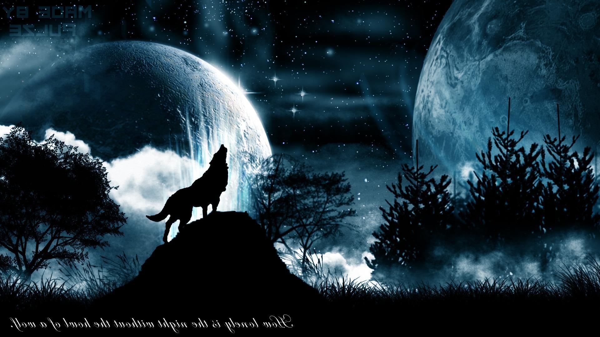 Wolf Howling Wallpapers