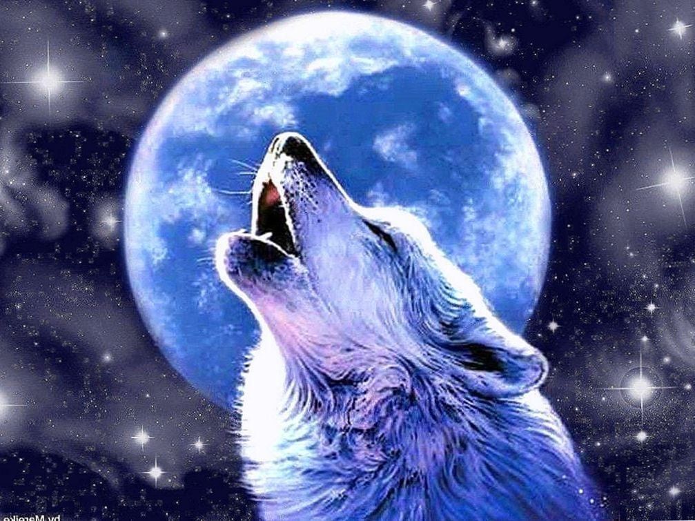 Wolf Howling At The Moon Wallpapers