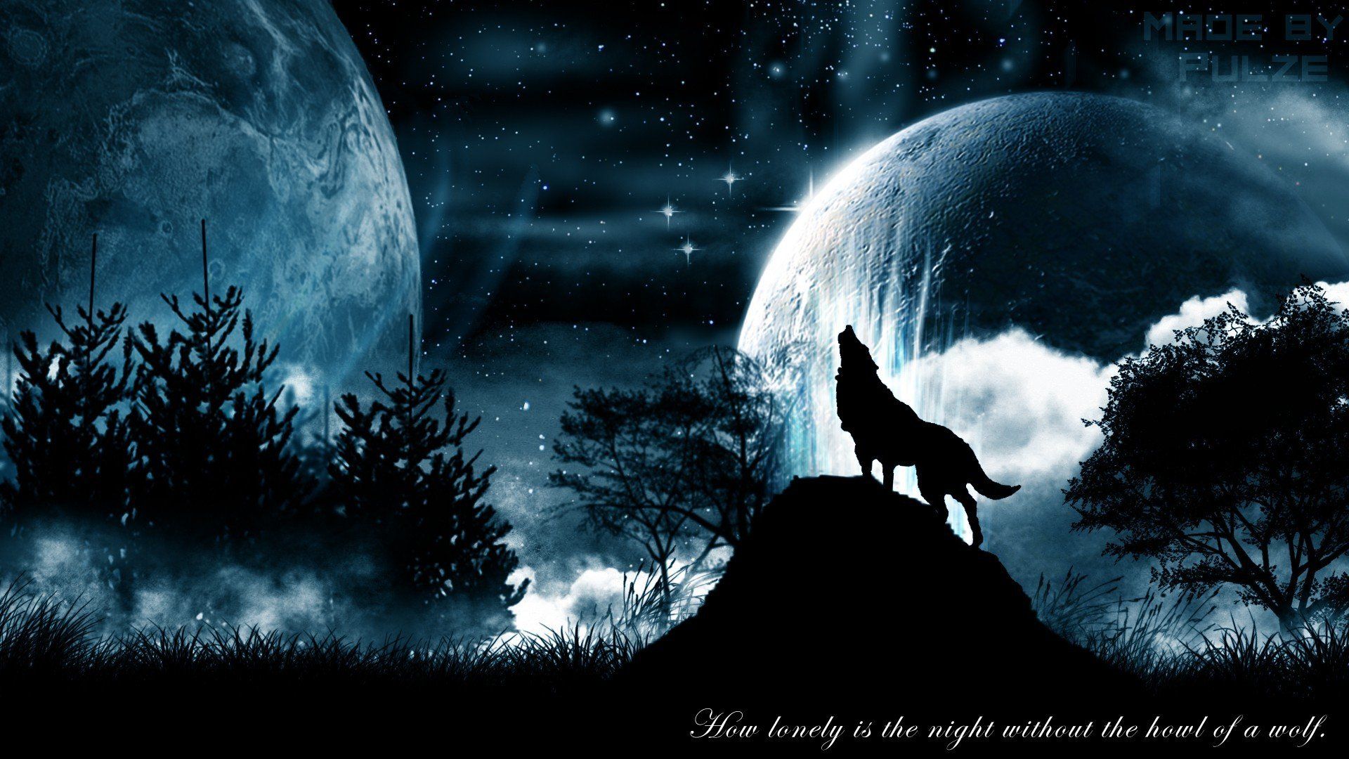 Wolf Howling At The Moon Wallpapers