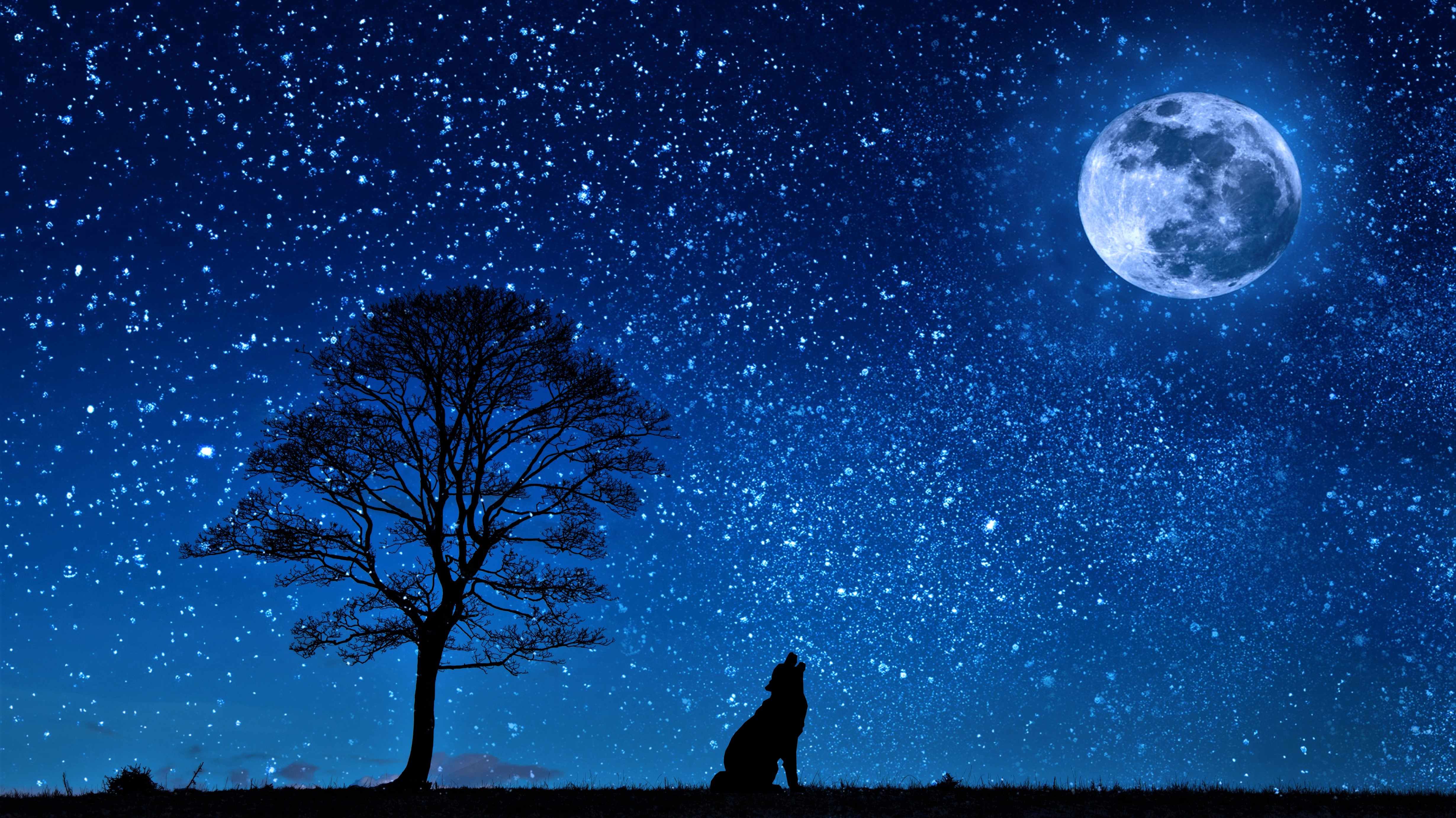 Wolf Howling At The Moon Wallpapers