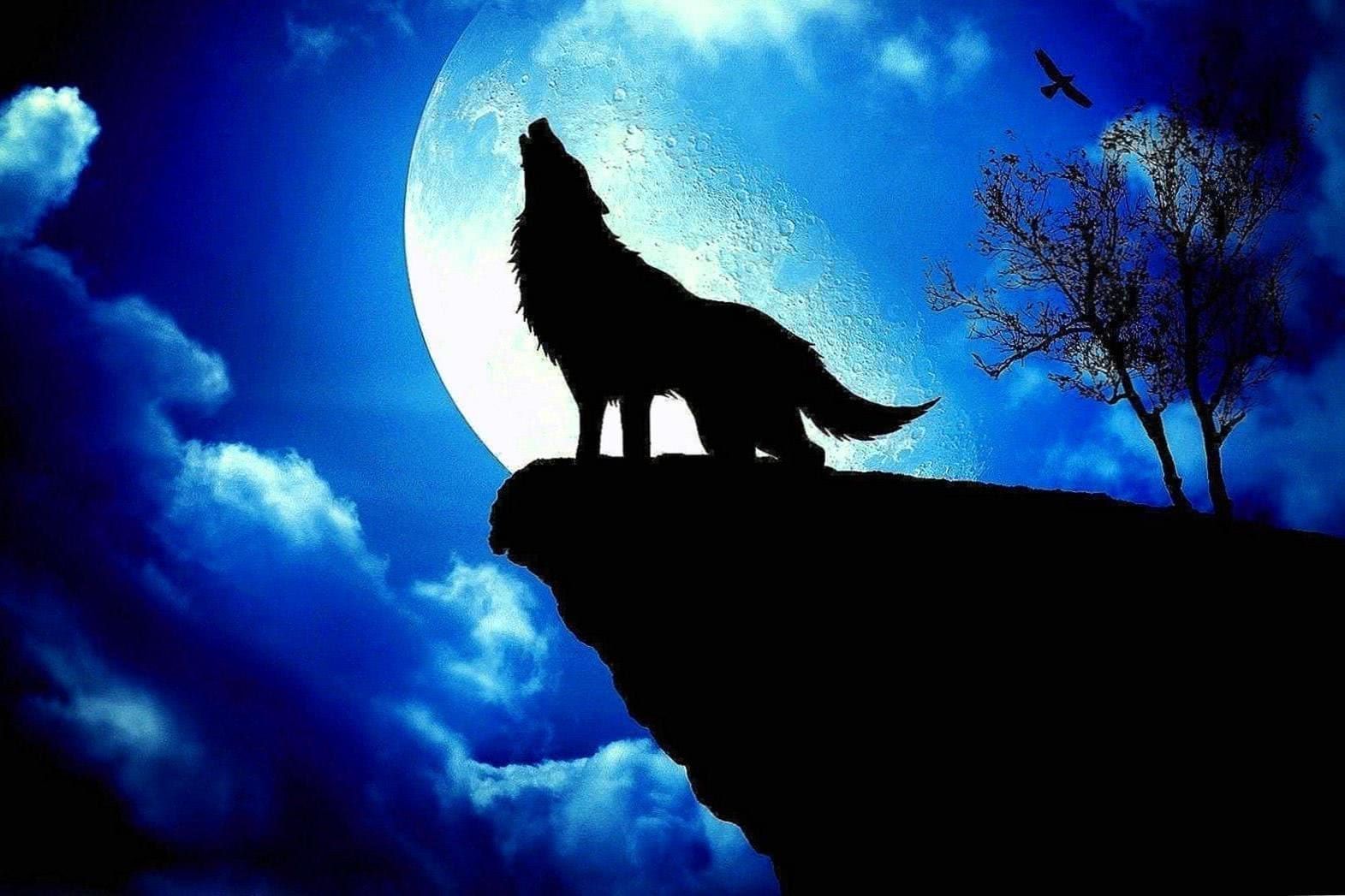 Wolf Howling At The Moon Wallpapers