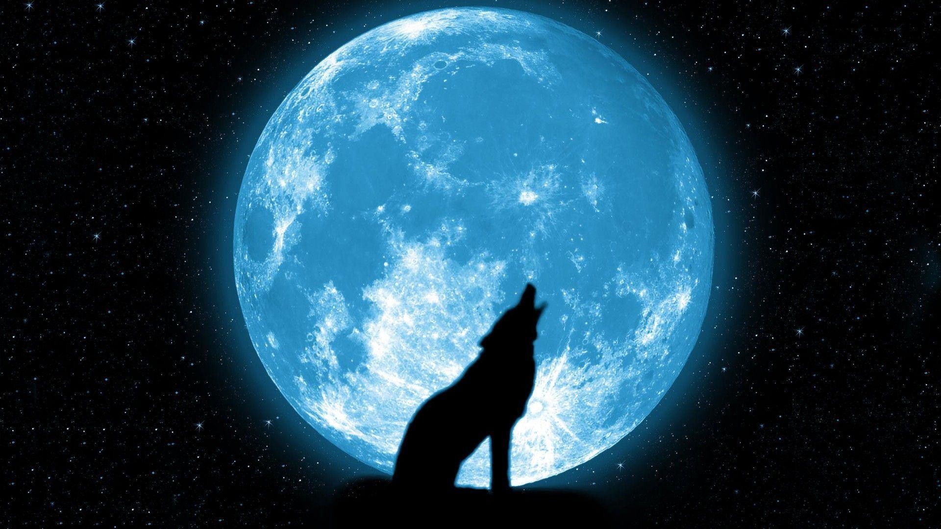 Wolf Howling At The Moon Wallpapers