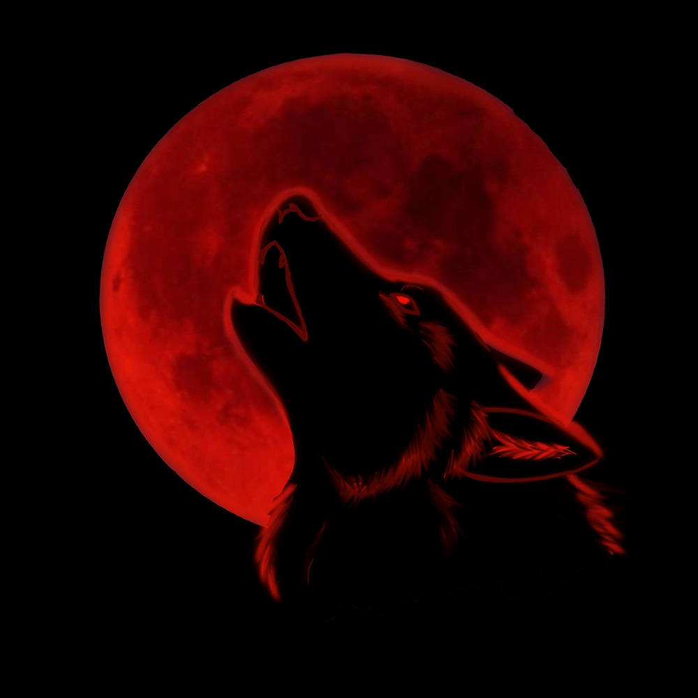 Wolf Howling At The Moon Wallpapers