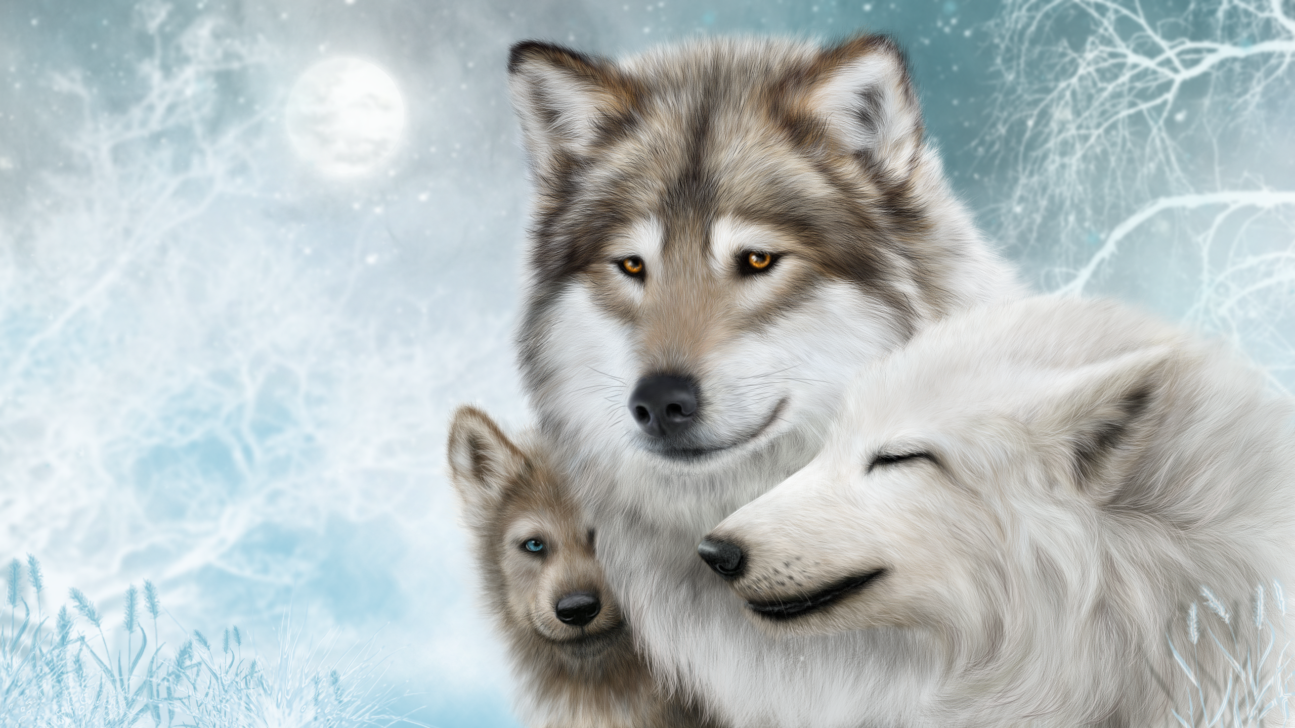 Wolf In Snow Wallpapers