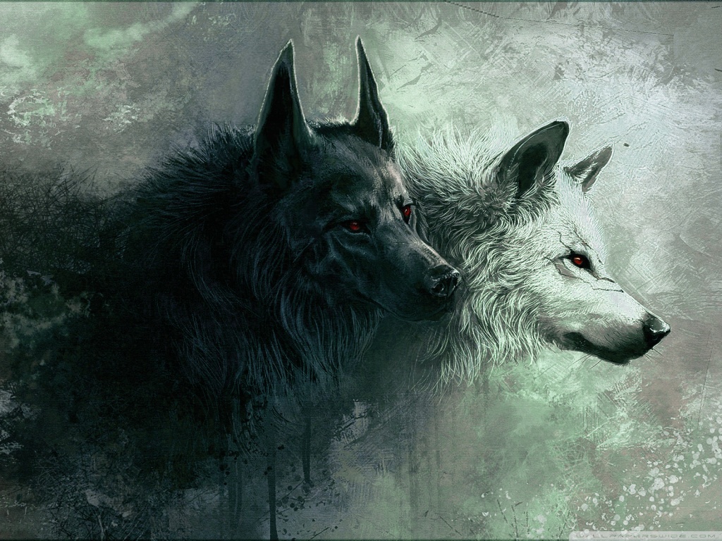 Wolf Ipad Wallpapers