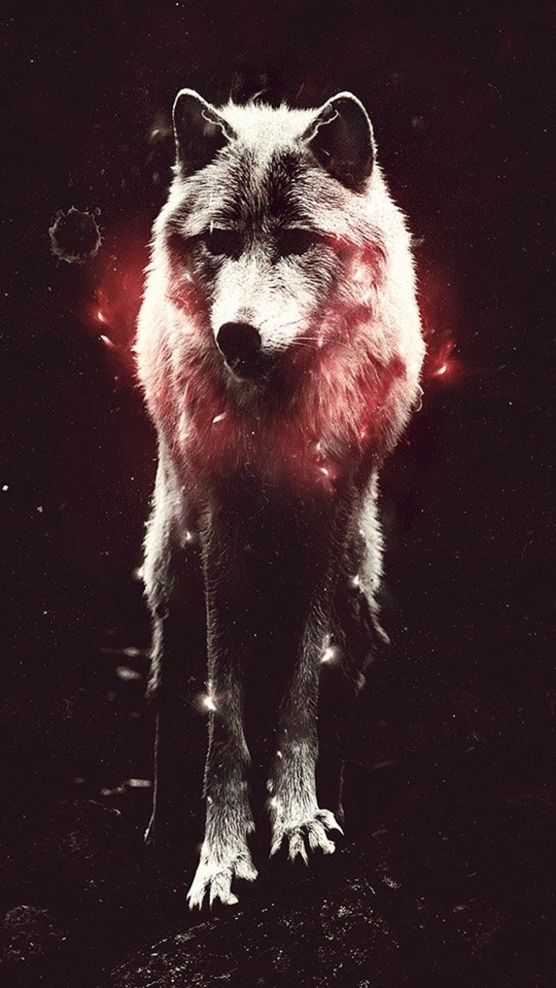 Wolf Iphone 6 Wallpapers