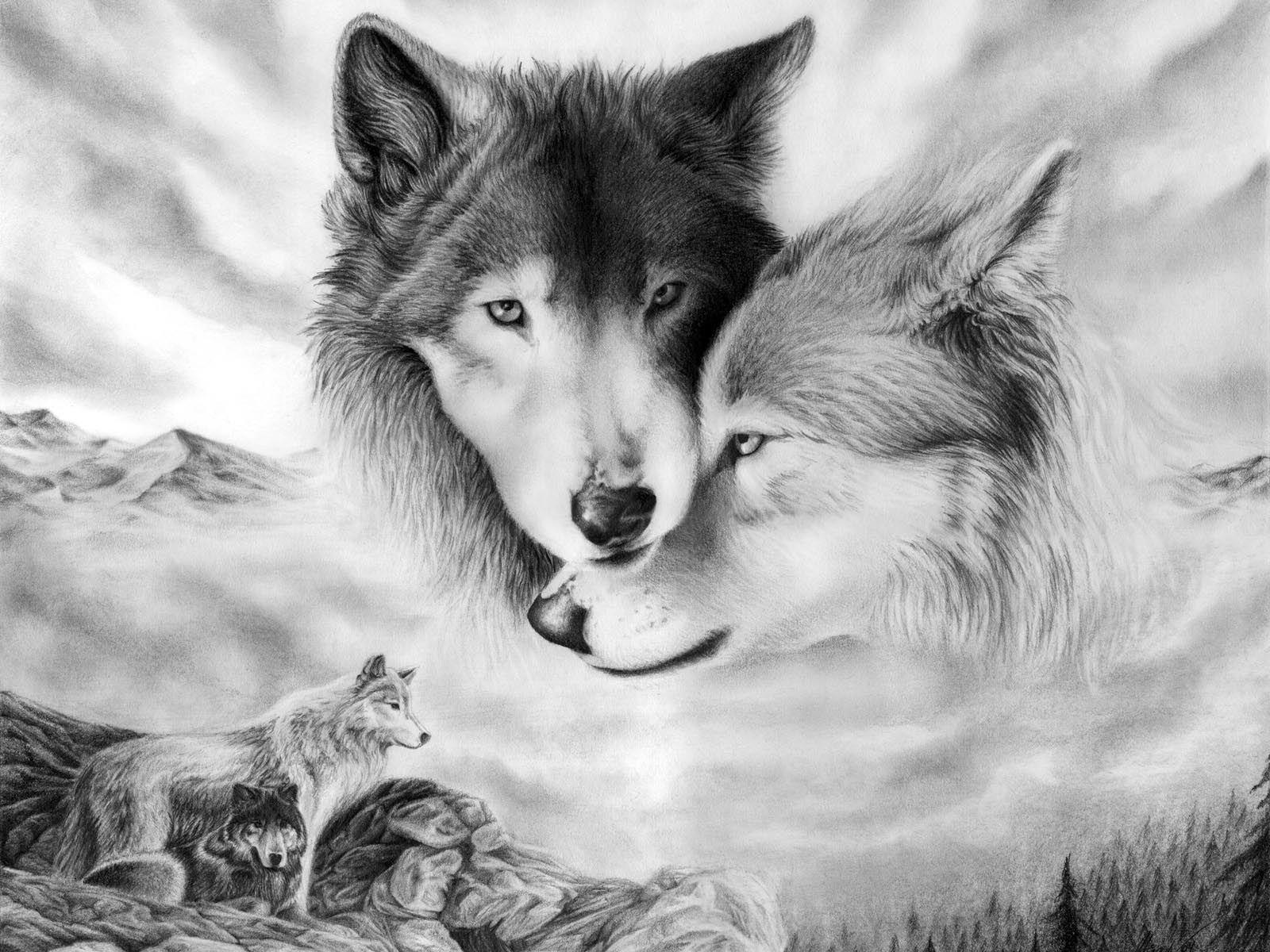 Wolf Love Wallpapers