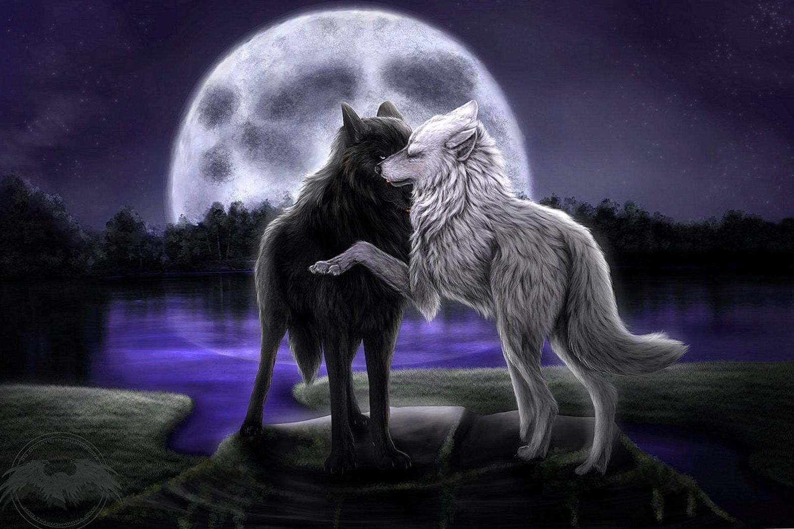 Wolf Love Wallpapers
