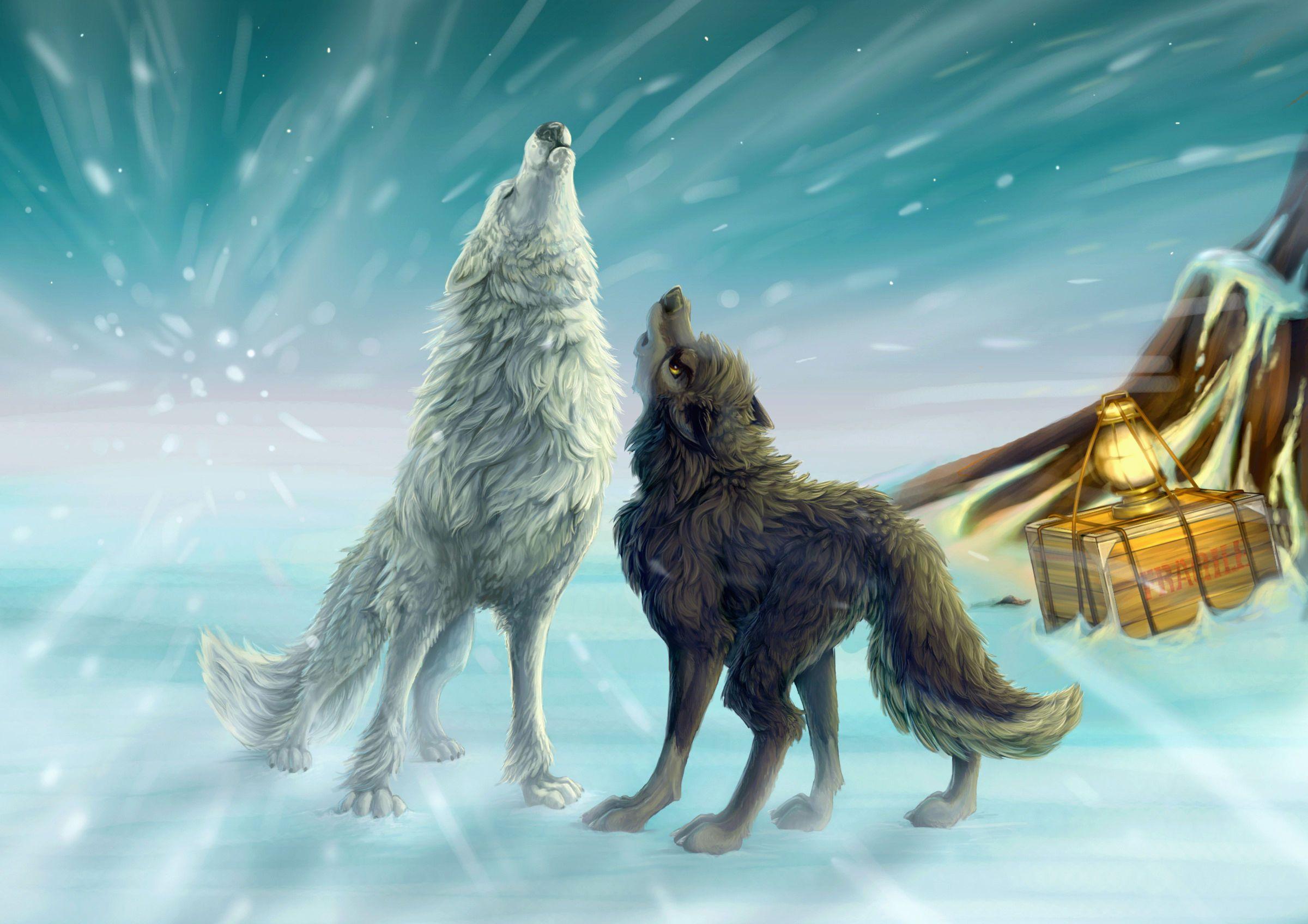 Wolf Love Wallpapers